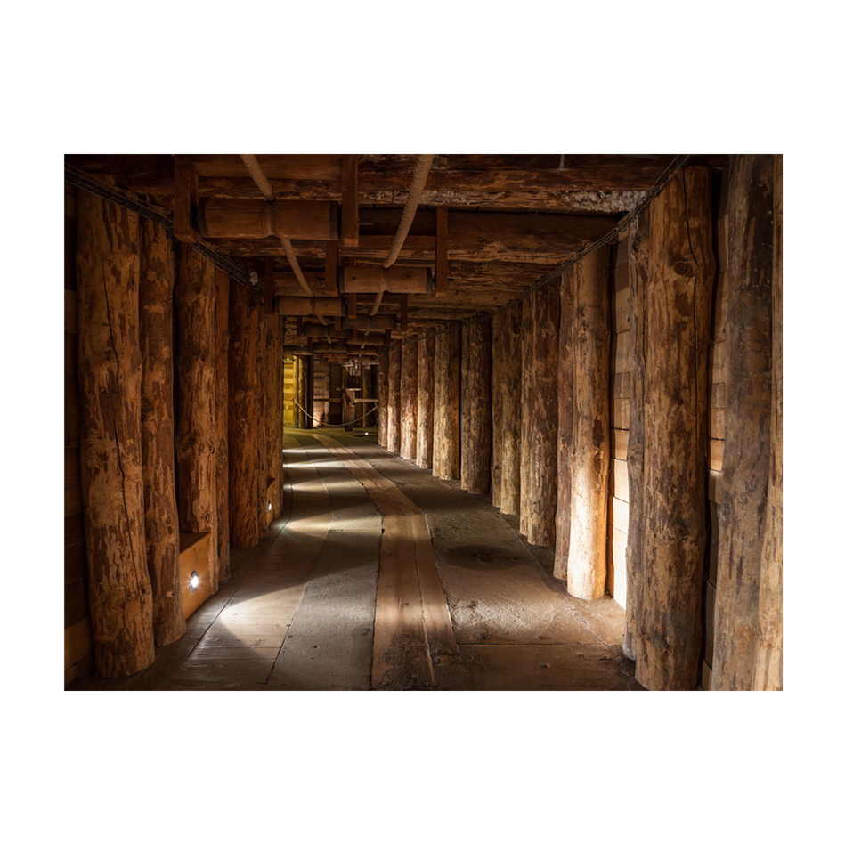 Fototapet Arkiio Wooden Passage