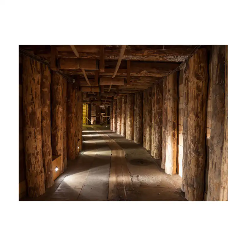 Fototapet Arkiio Wooden Passage