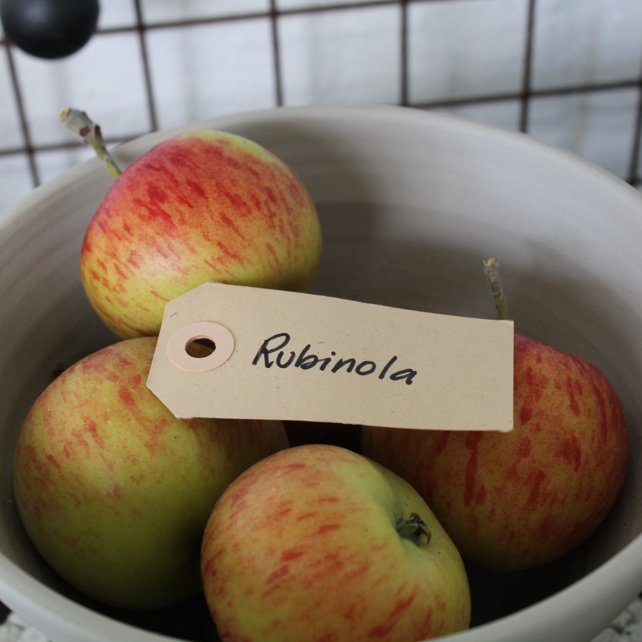 Äppelträd Omnia Garden Malus Domestica Rubinola