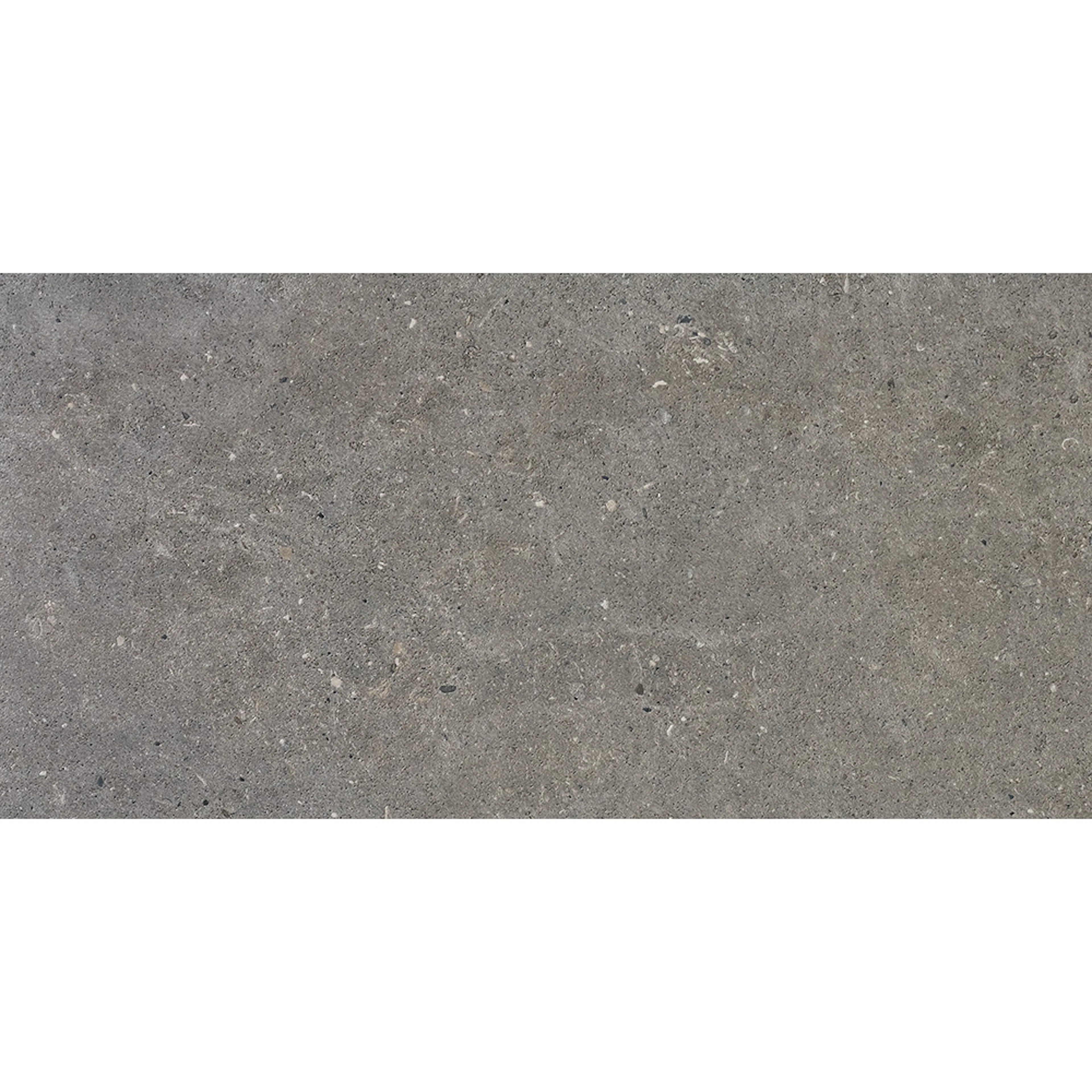 Klinker Bricmate J36 J Stone Select Grey 30x60 cm