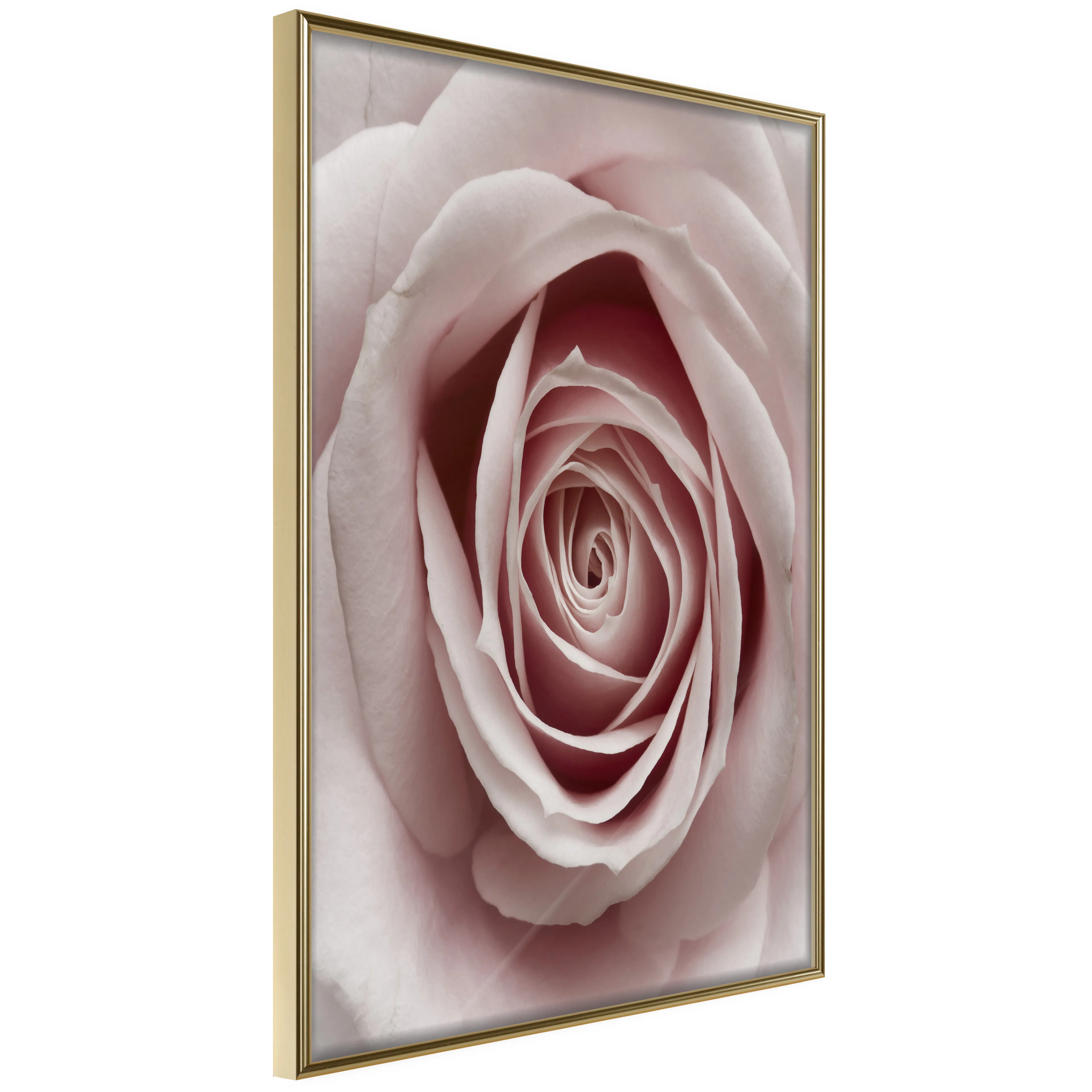 Poster Artgeist Affisch Pastel Rose