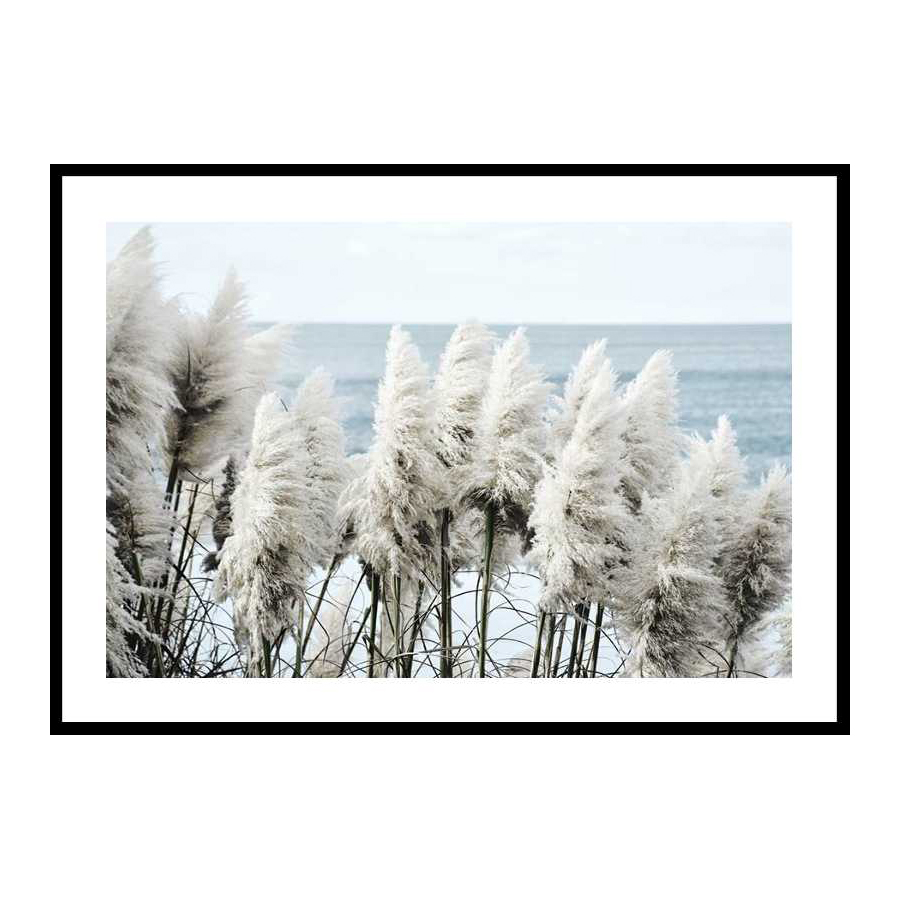Toitoi Grass 70x100 cm