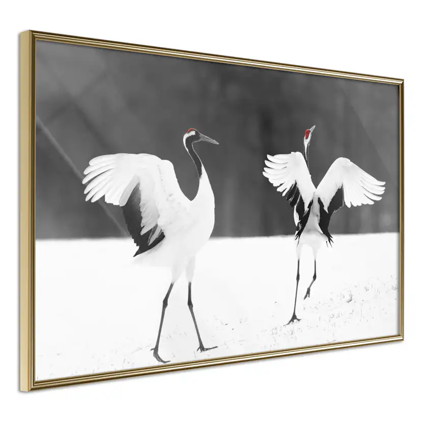 Poster Artgeist Affisch Dancing Cranes