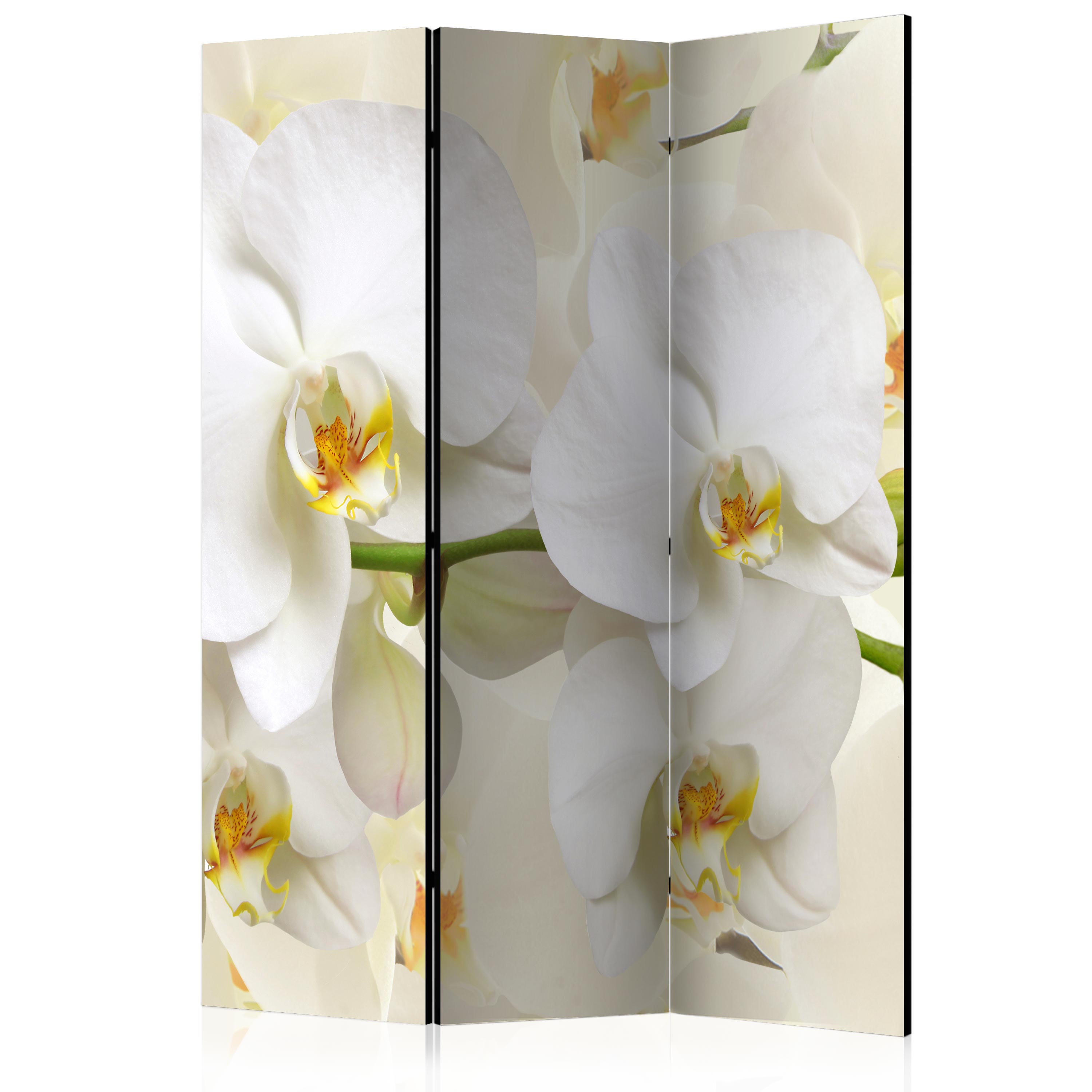 Rumsavdelare Arkiio Orchid Branch 135x172 cm