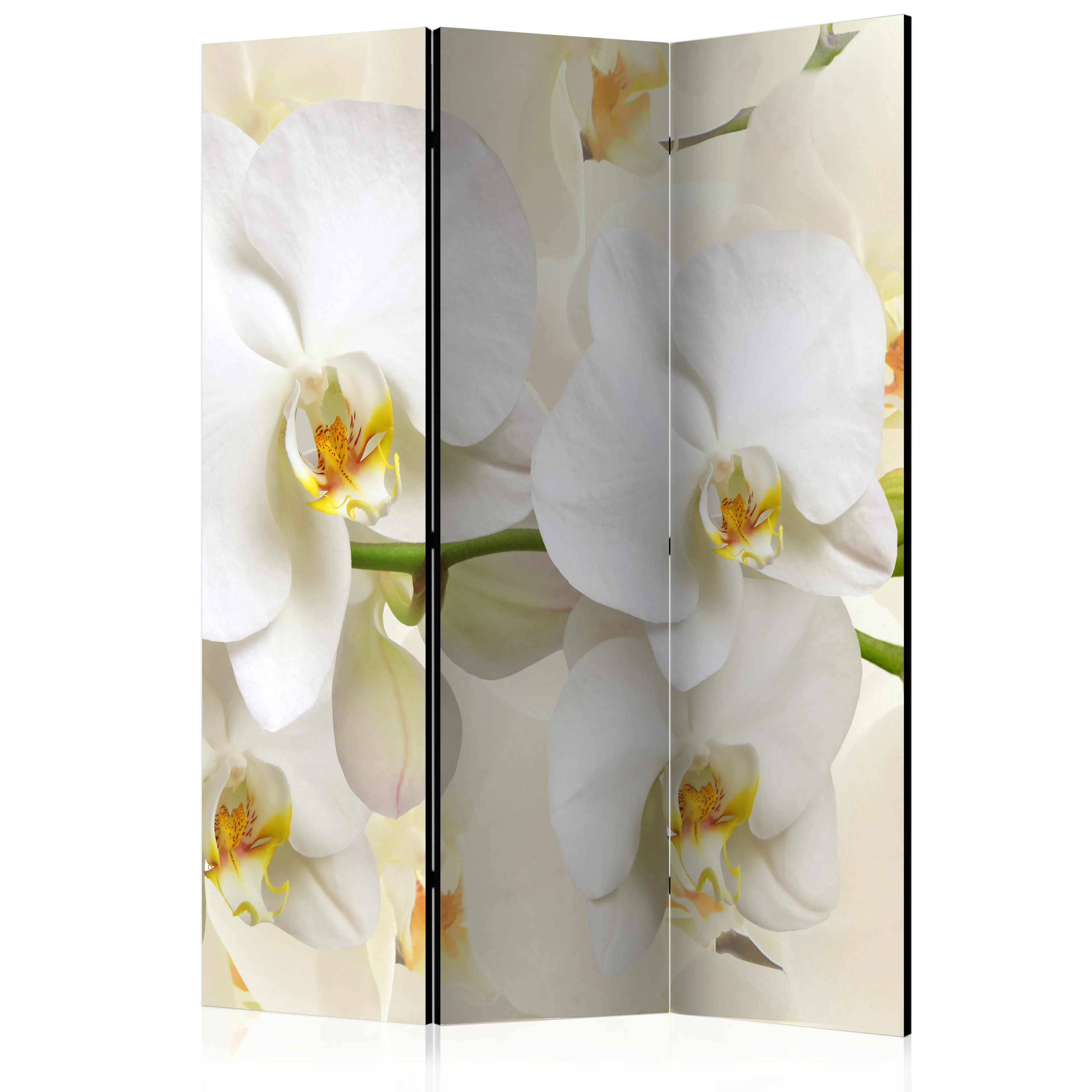 Rumsavdelare Arkiio Orchid Branch 135x172 cm