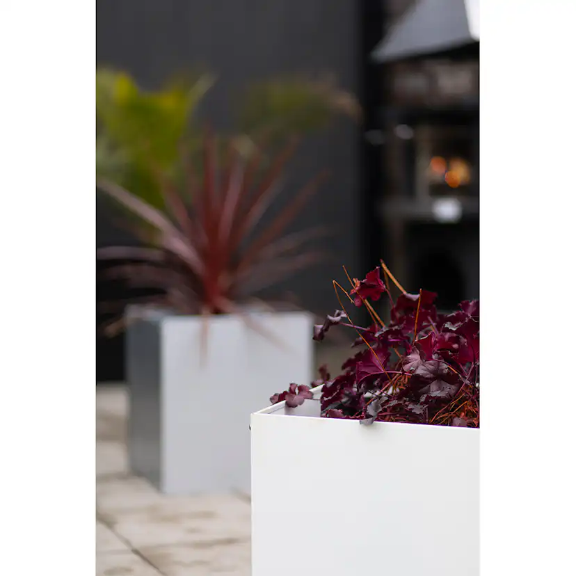 Kruka Skotte Garden Zinkplåt 40X40X45 cm