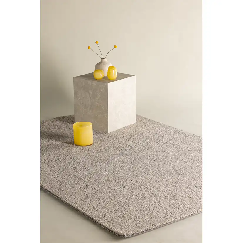 Matta Venture Home Teddy