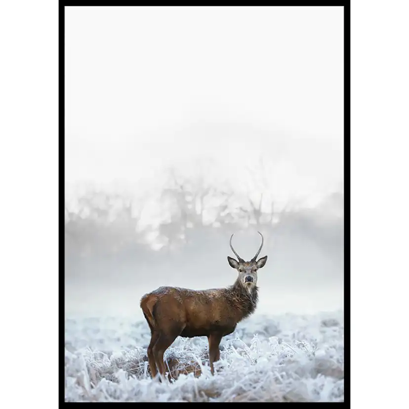 Poster Gallerix Deer In Field