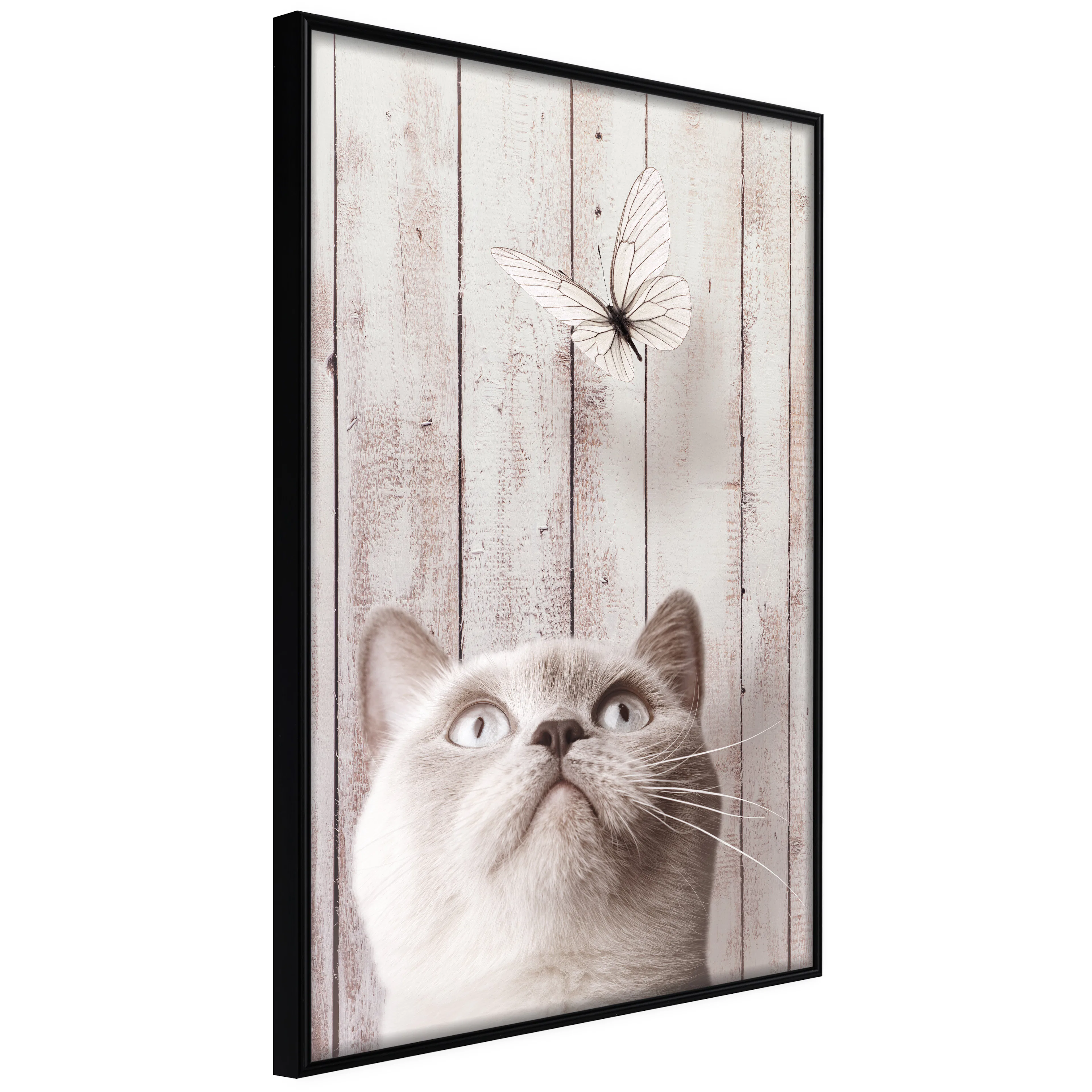 Affisch - Cat's Nature [Poster] 40x60 Svart ram, 40x60 cm