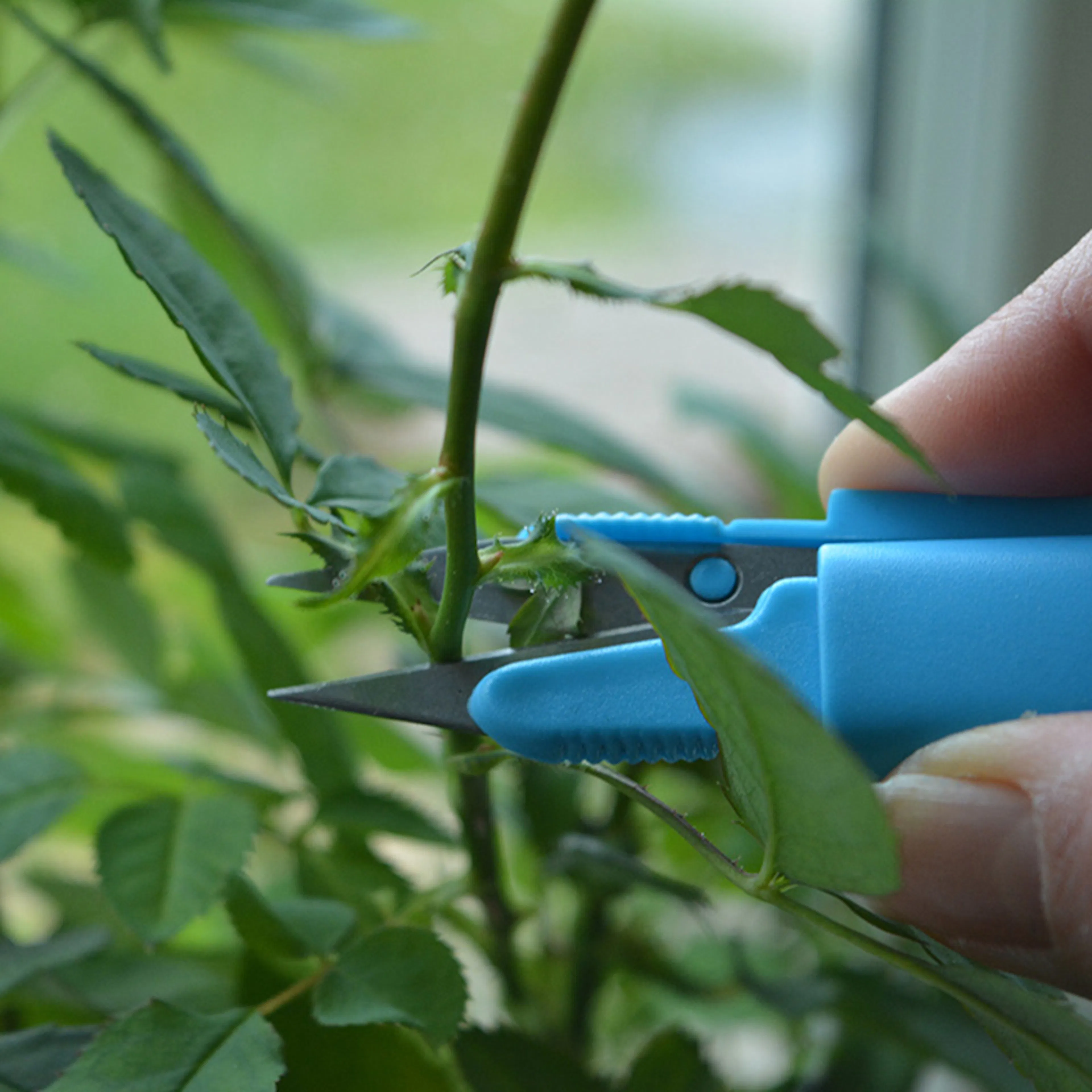 Sekatör Omnia Garden Mini Snip It Blandade Färger