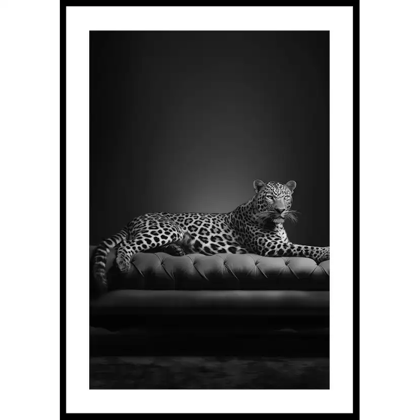 Poster Gallerix The Pet Leopard B&W