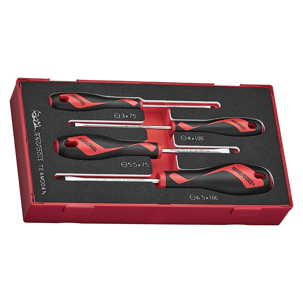 Skruvmejselsats Teng Tools 4-Delar TEAMD04N