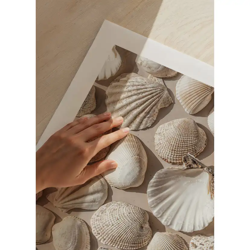 Poster Gallerix Coastal Seashell Medley