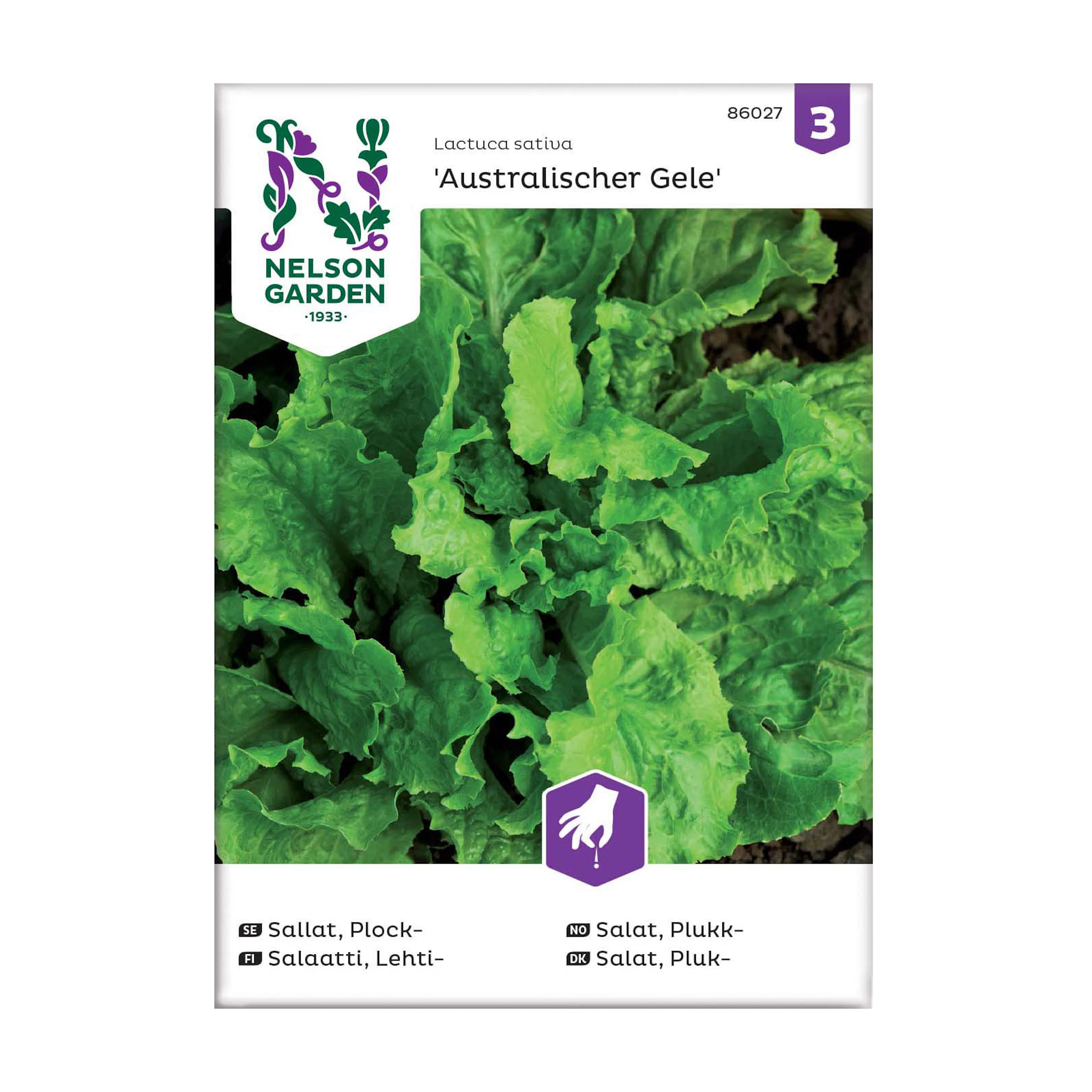 Frö Plocksallat Nelson Garden Australische Gele