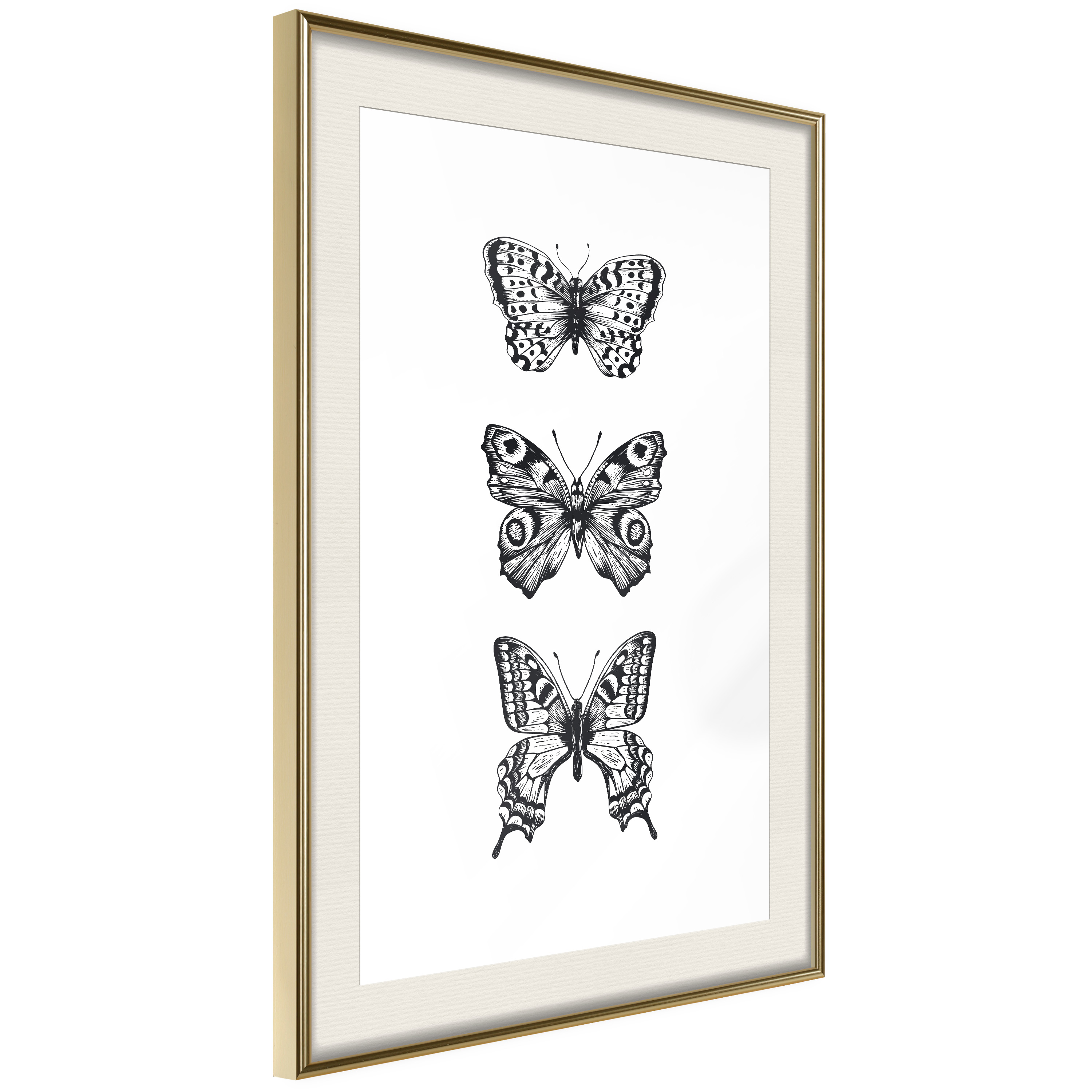 Affisch - Three Butterflies [Poster] 40x60 Guld ram med passepartout, 40x60 cm