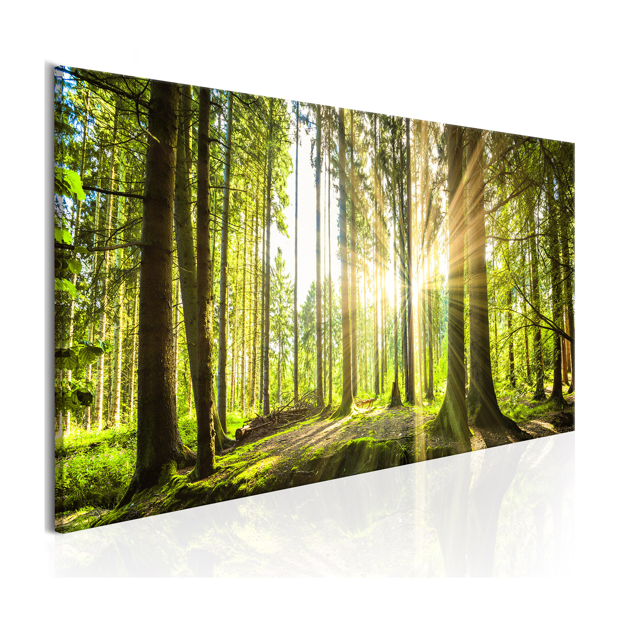 Tavla Arkiio Daylight