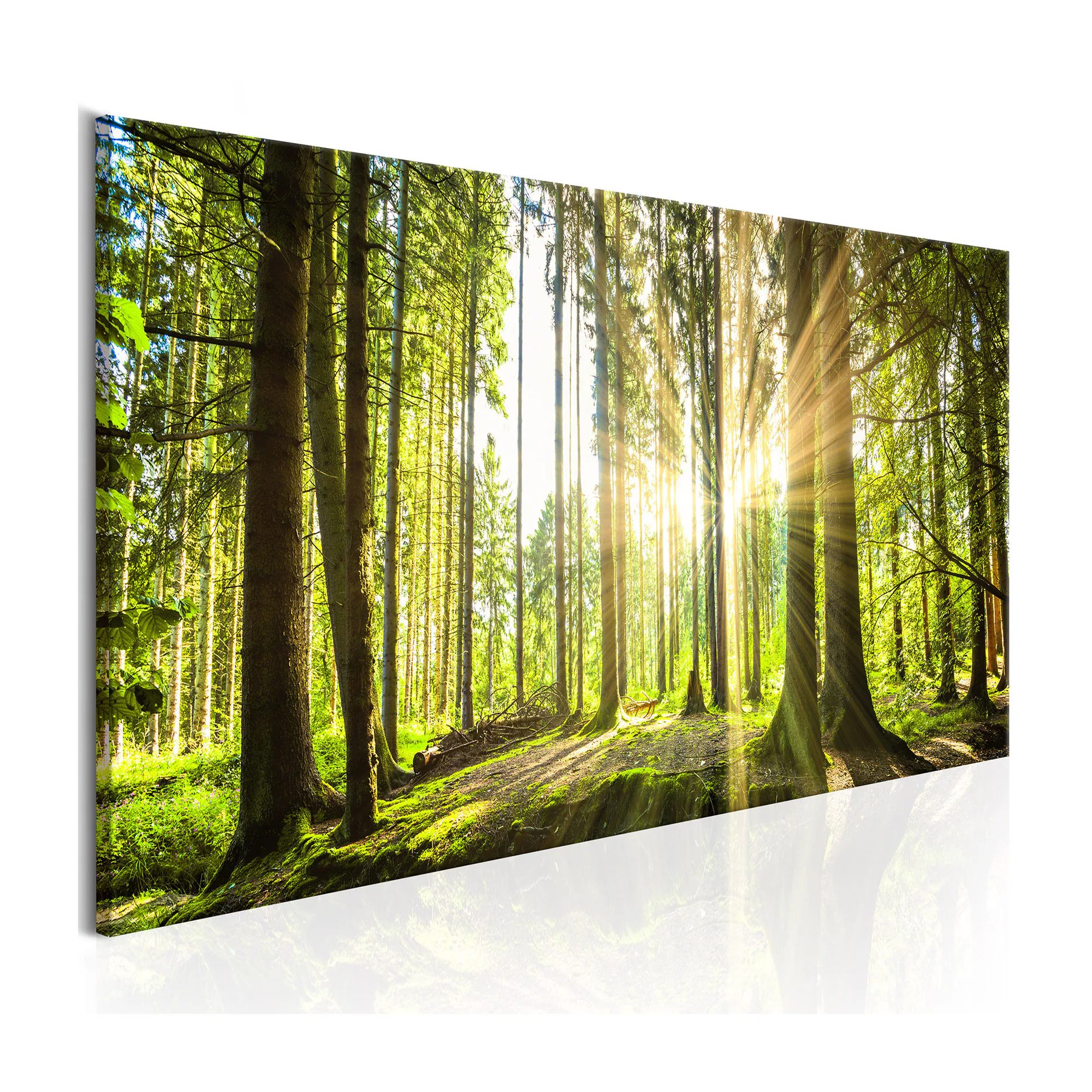 Tavla Arkiio Daylight