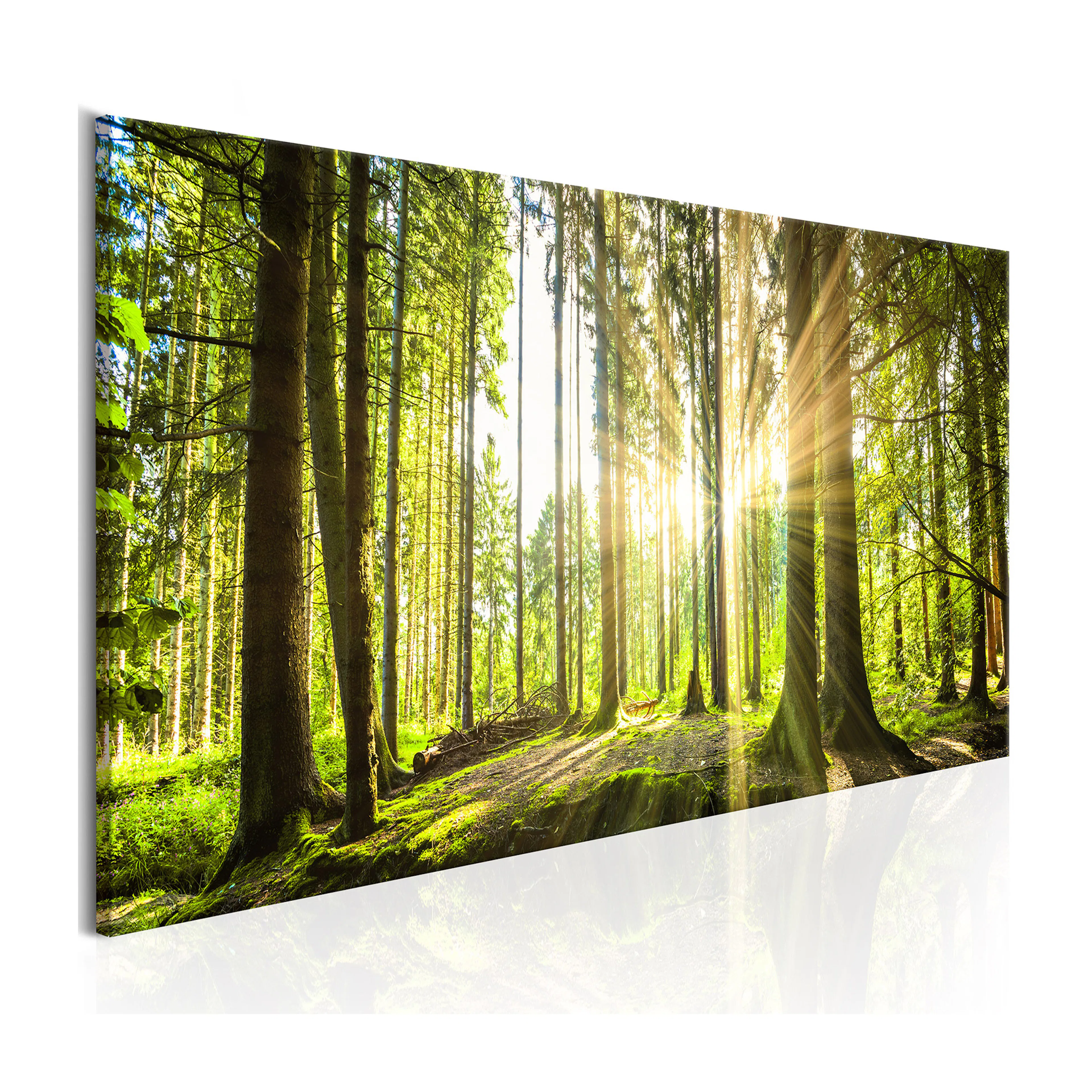 Tavla Arkiio Daylight