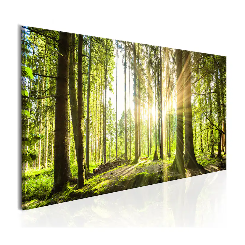 Tavla Arkiio Daylight