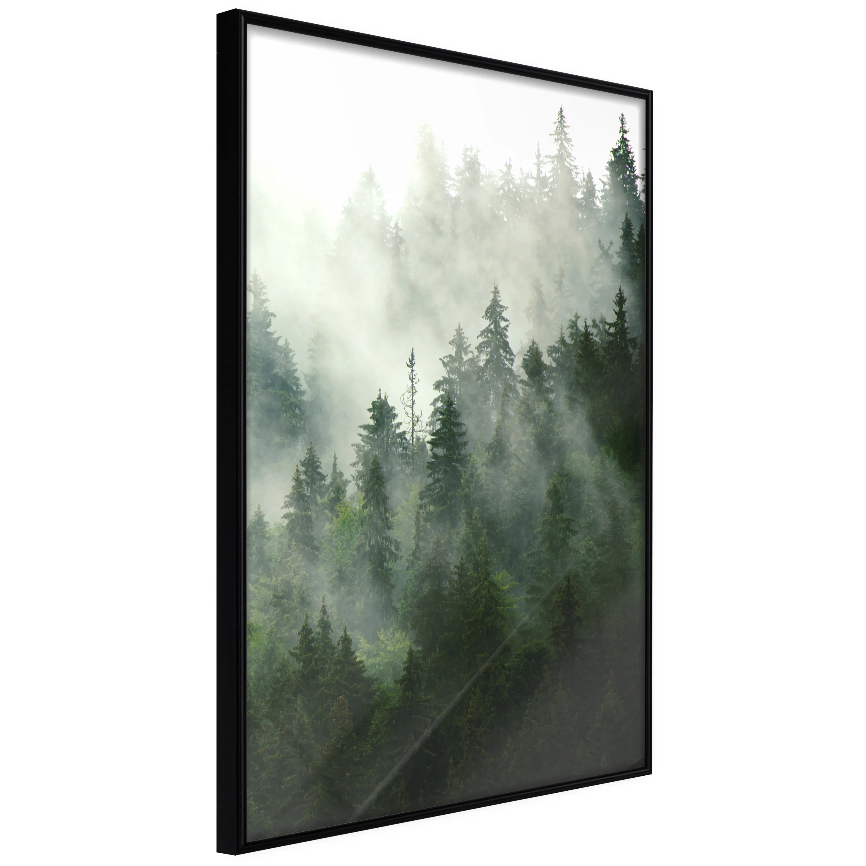 Poster Artgeist Affisch Coniferous Forest