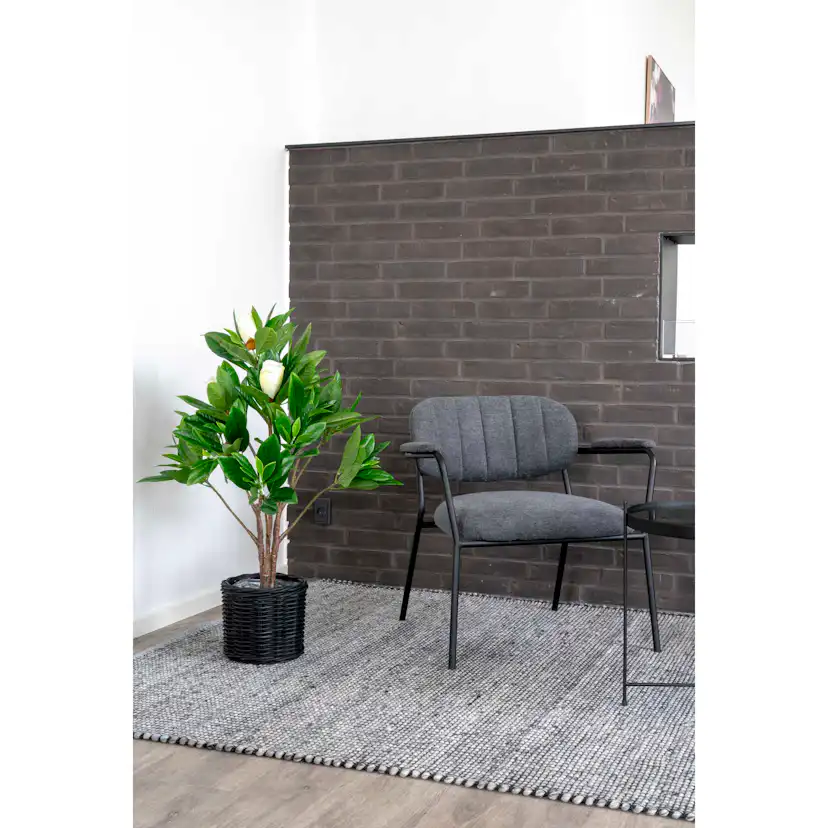 Konstväxt House Nordic Magnolia