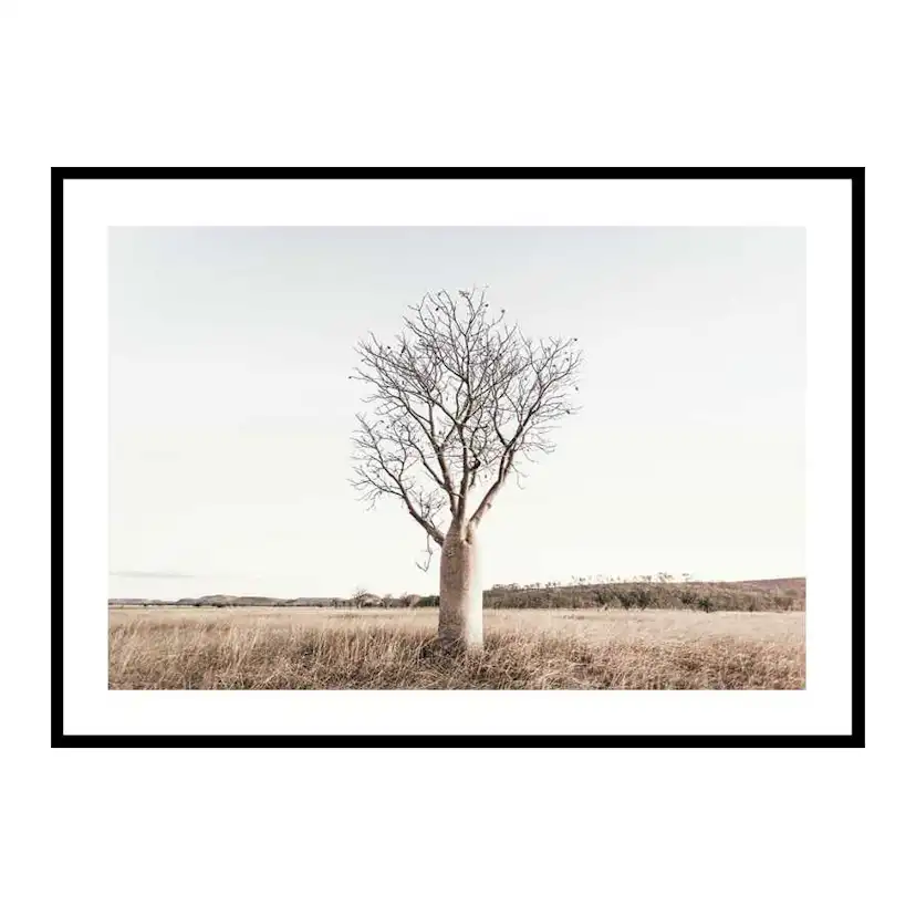 Poster Gallerix Boab Tree