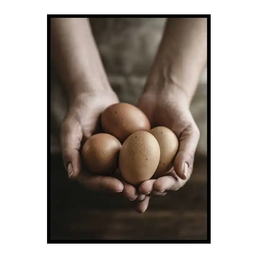 Free Range Eggs 21x30 cm