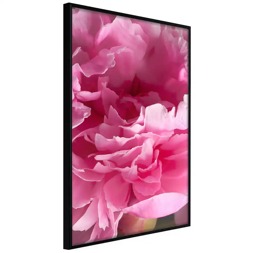 Poster Artgeist Affisch Beautiful Peonies