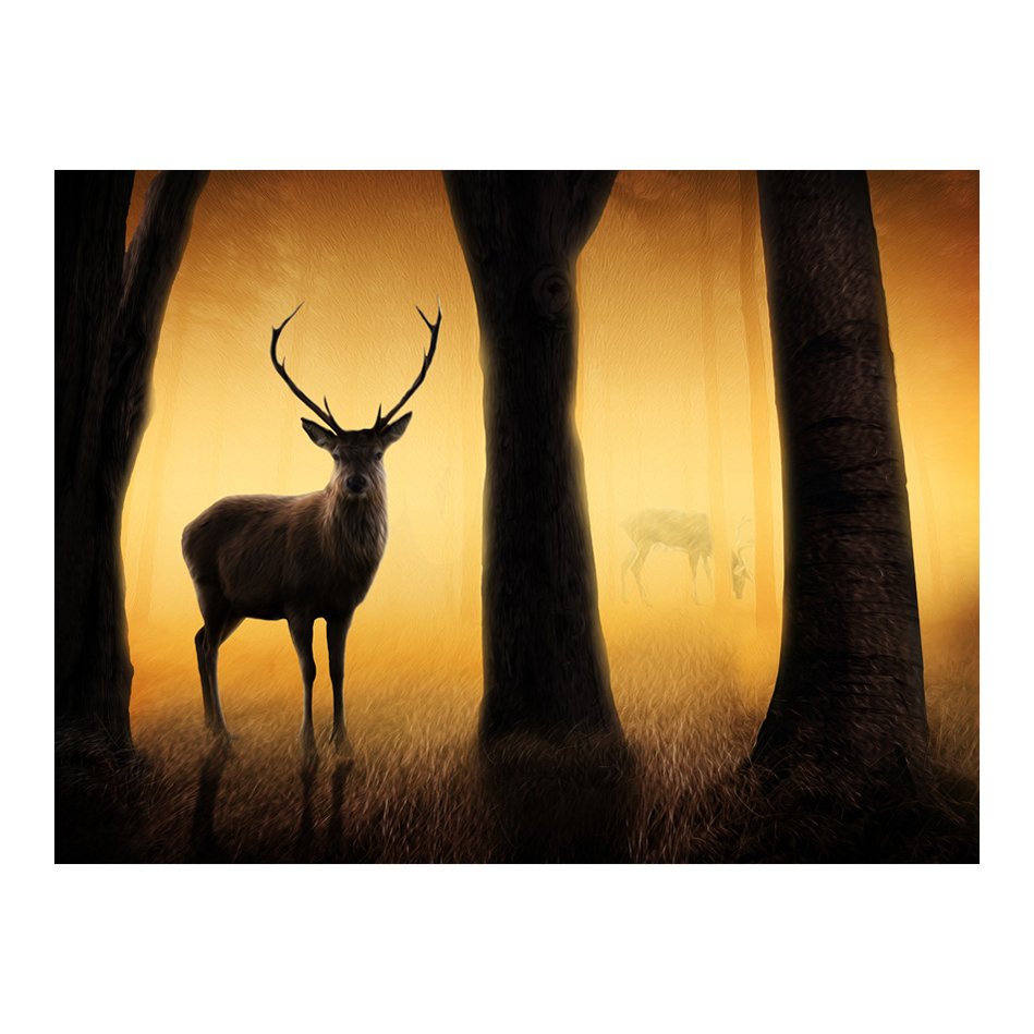 Fototapet Arkiio Deer In His Natural Habitat