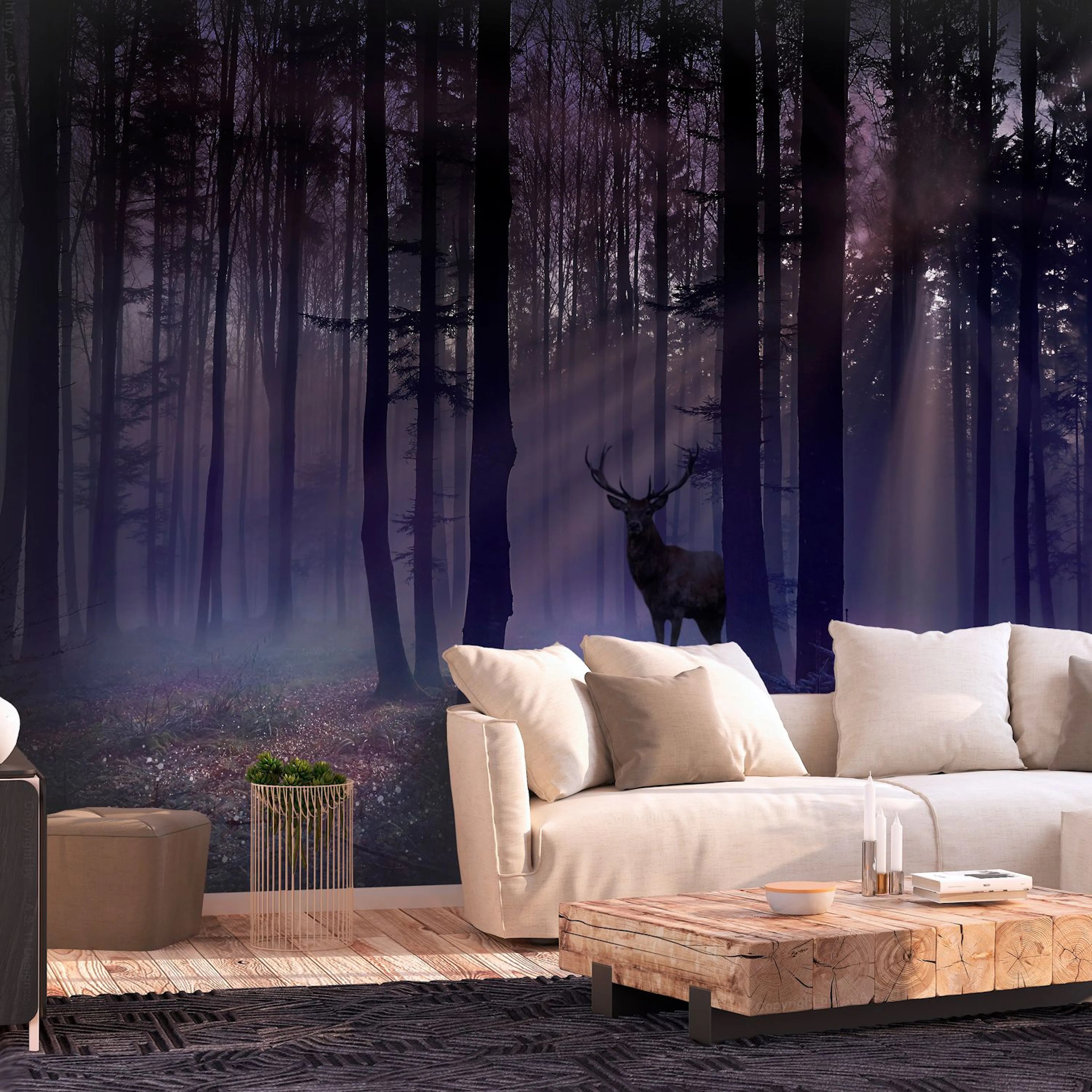 Fototapet - Mystical Forest - Second Variant 400x280 400x280 cm