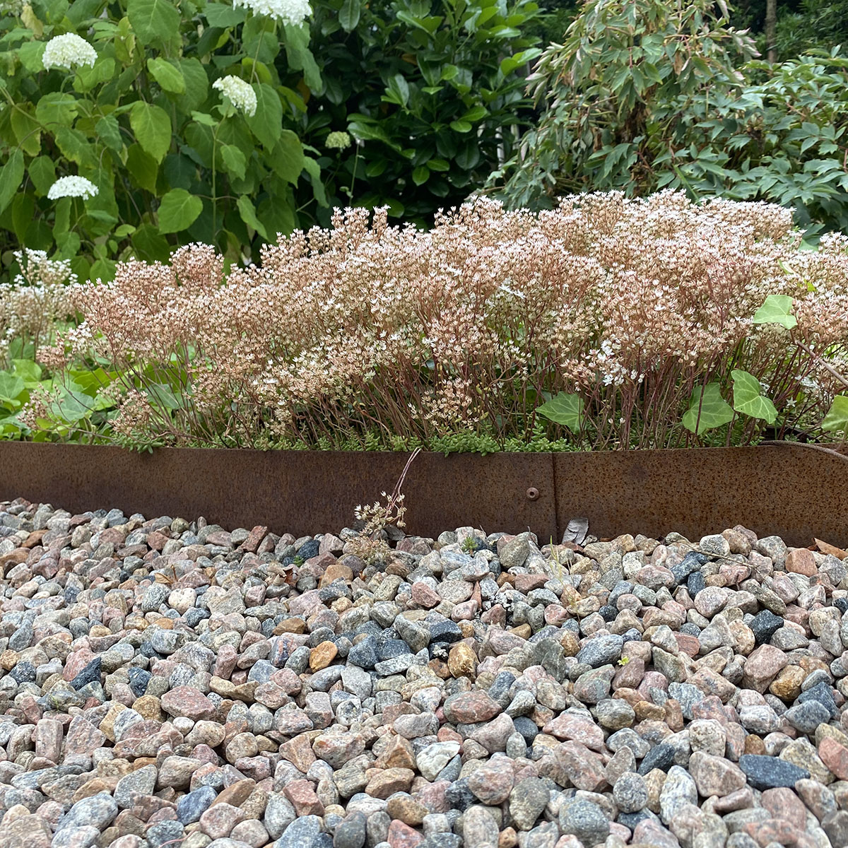 Planteringskant Flexigarden Corten 180 mm Skarvplåt