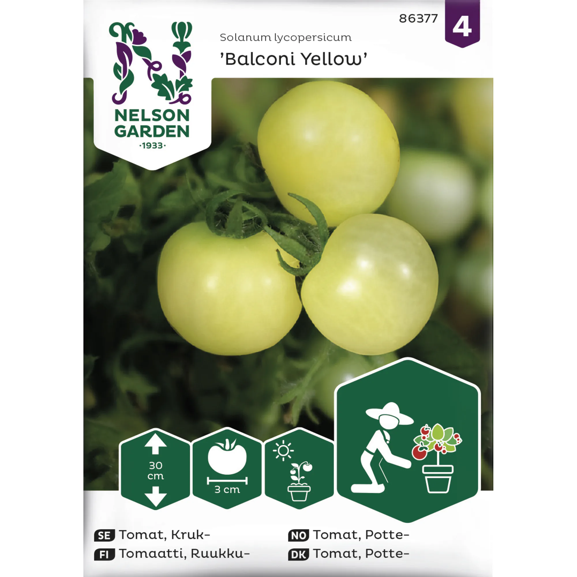 Frö Nelson Garden Tomat Balconi Yellow Kruktomat