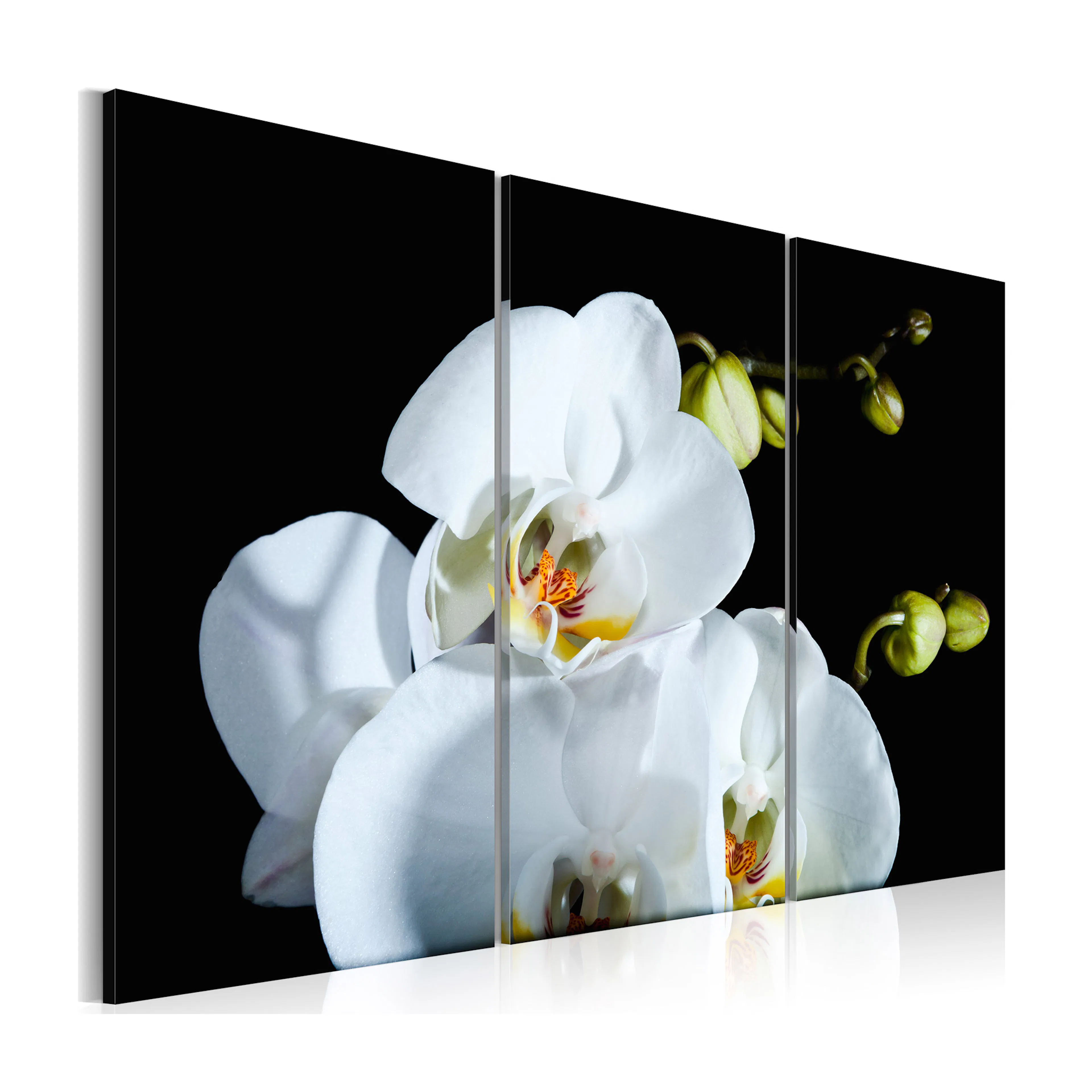 Tavla Arkiio Snöig Orkidé