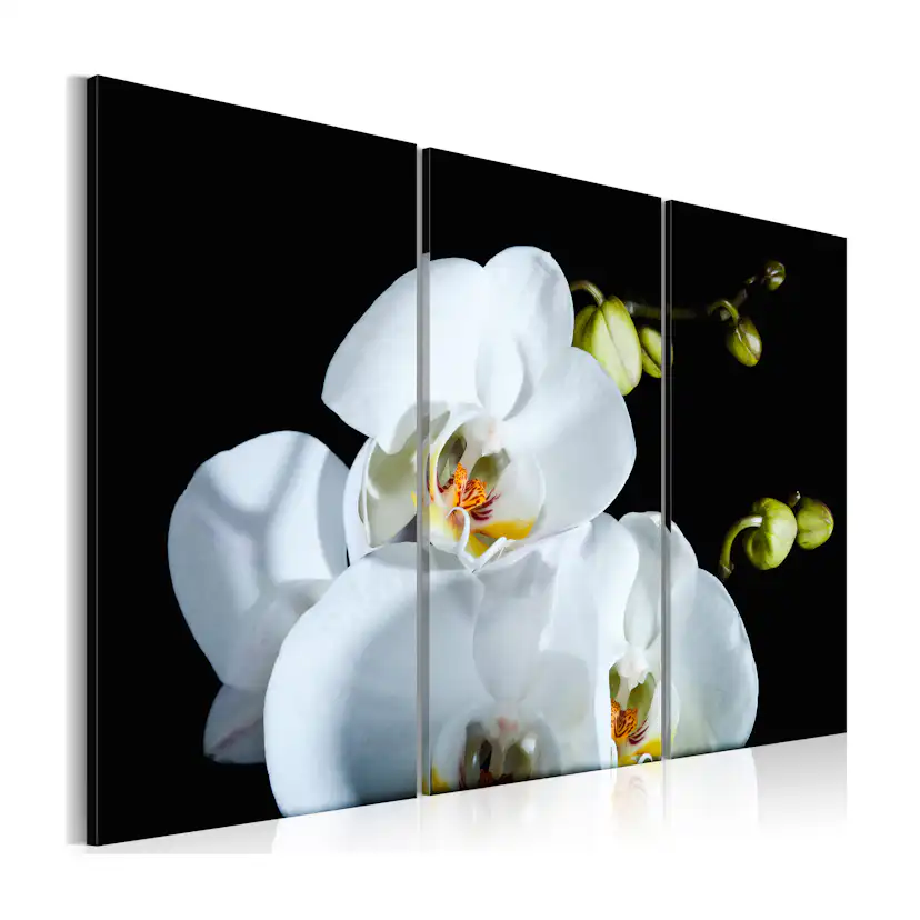 Tavla Arkiio Snöig Orkidé