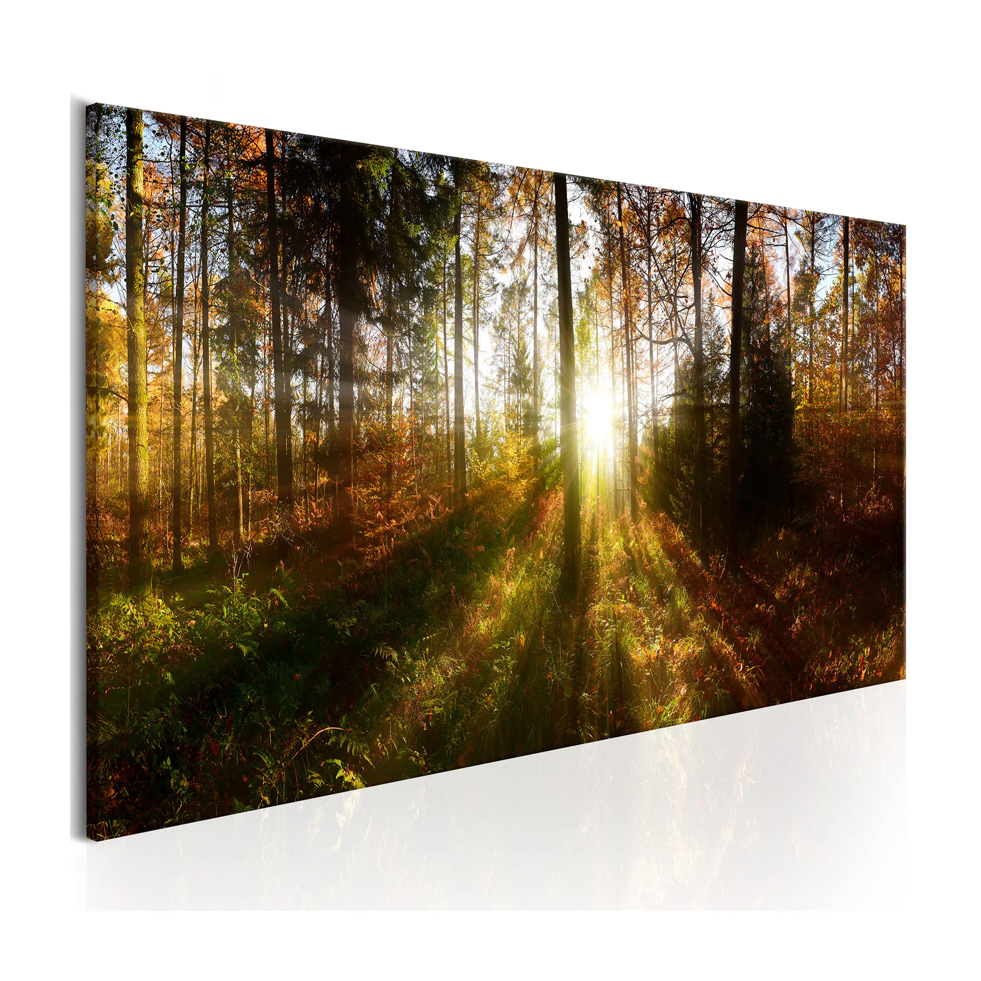 Tavla Arkiio Beautiful Forest