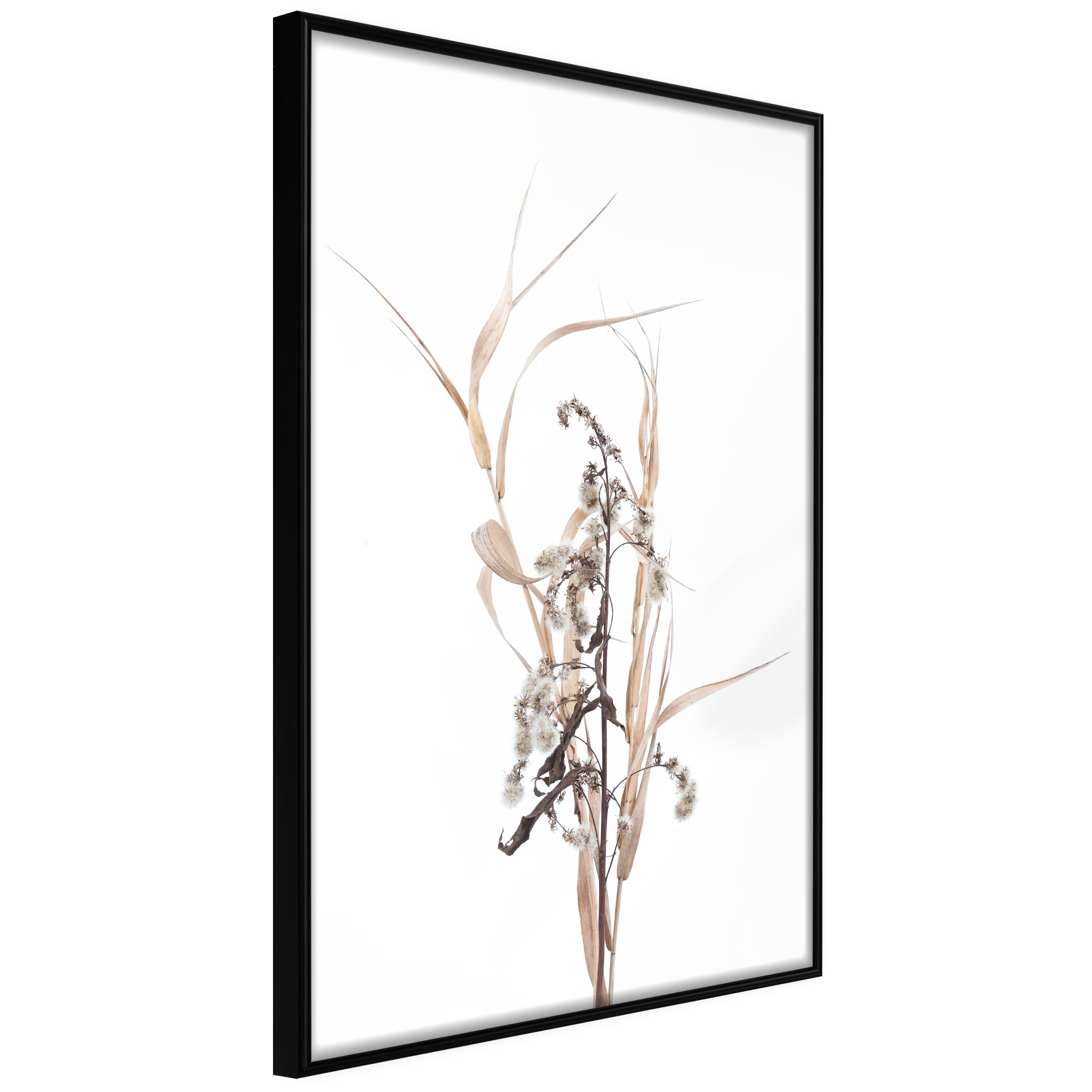 Affisch - Composition of Herbs [Poster] 30x45 Svart ram, 30x45 cm