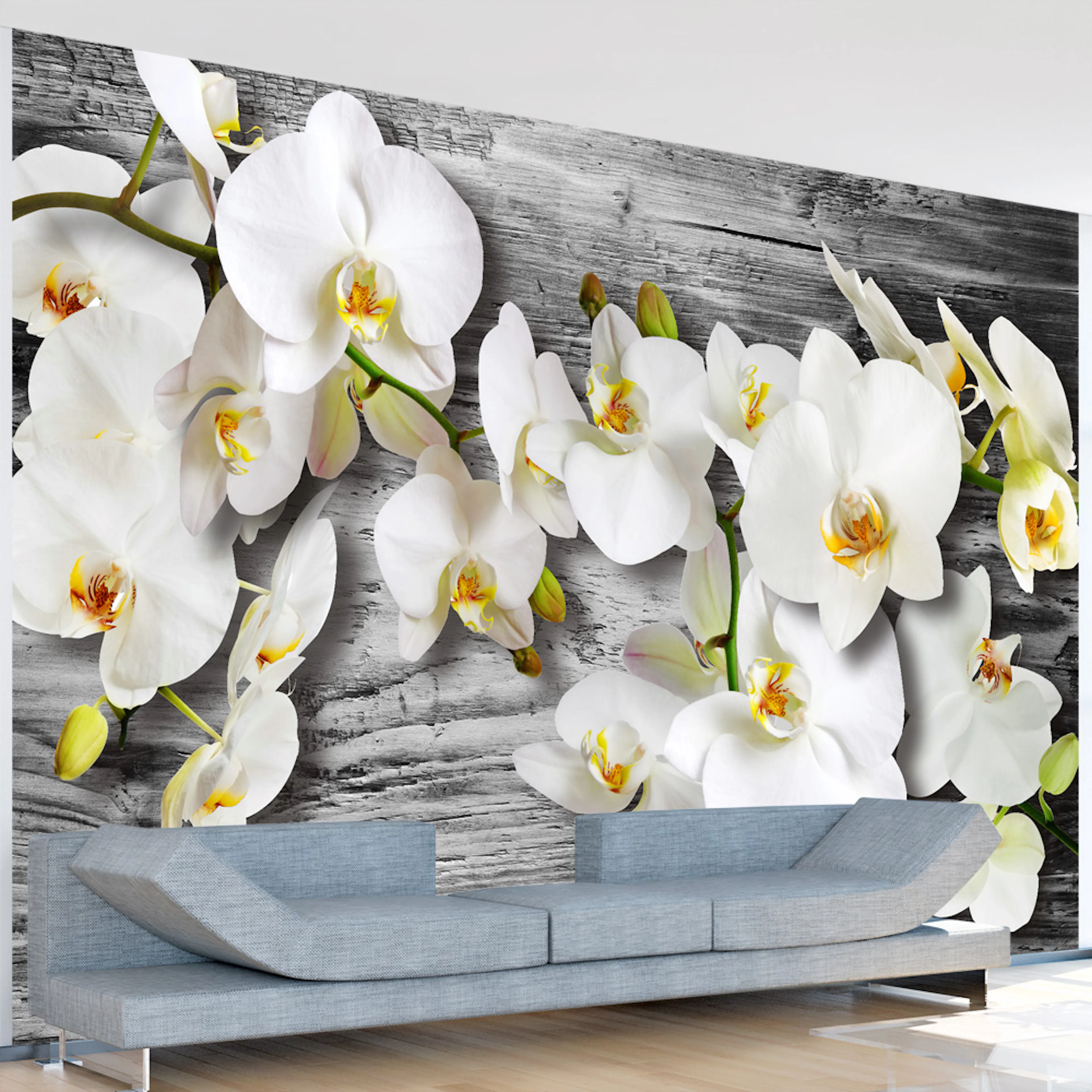 Fototapet Arkiio Callous Orchids III