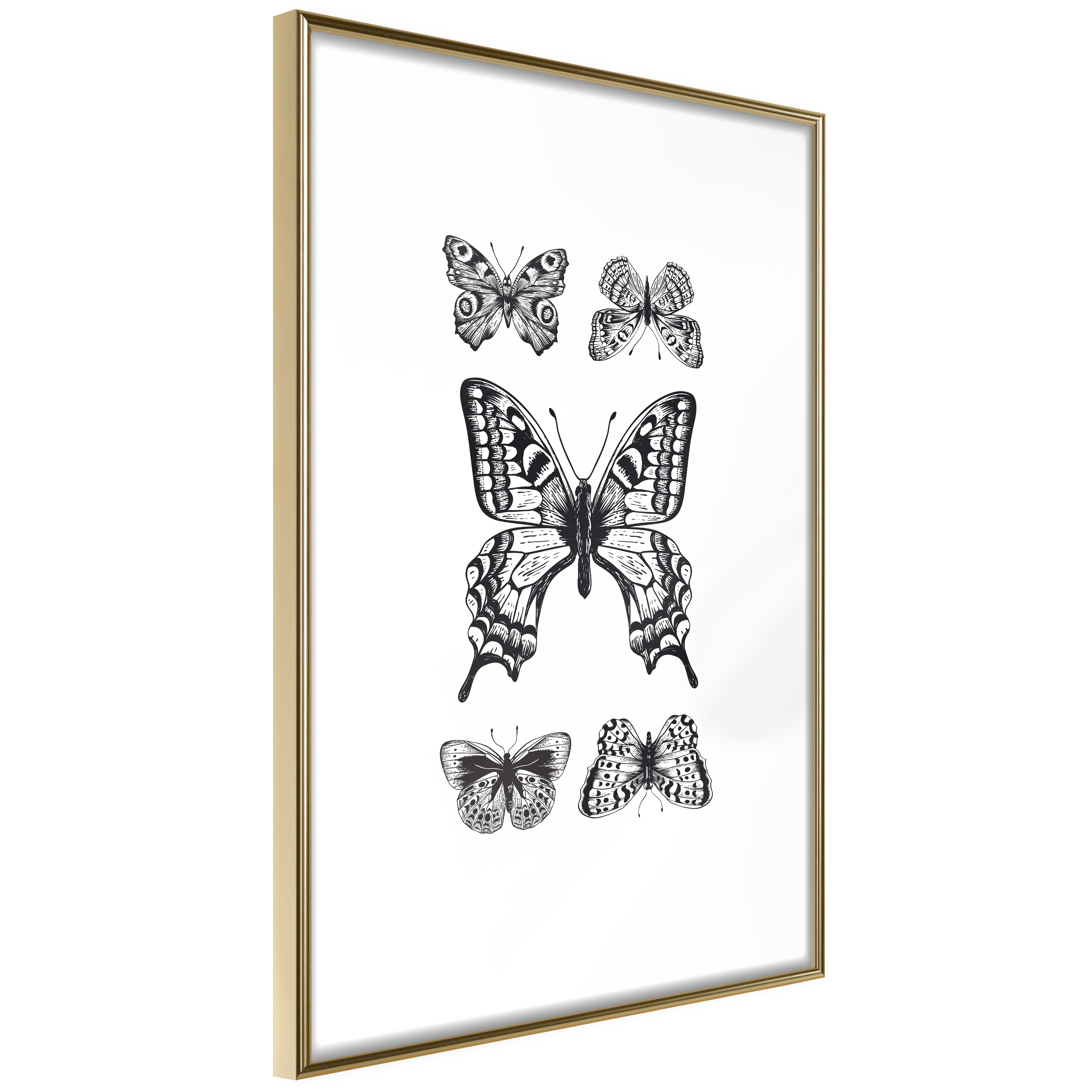 Affisch - Five Butterflies [Poster] 40x60 Guld ram, 40x60 cm