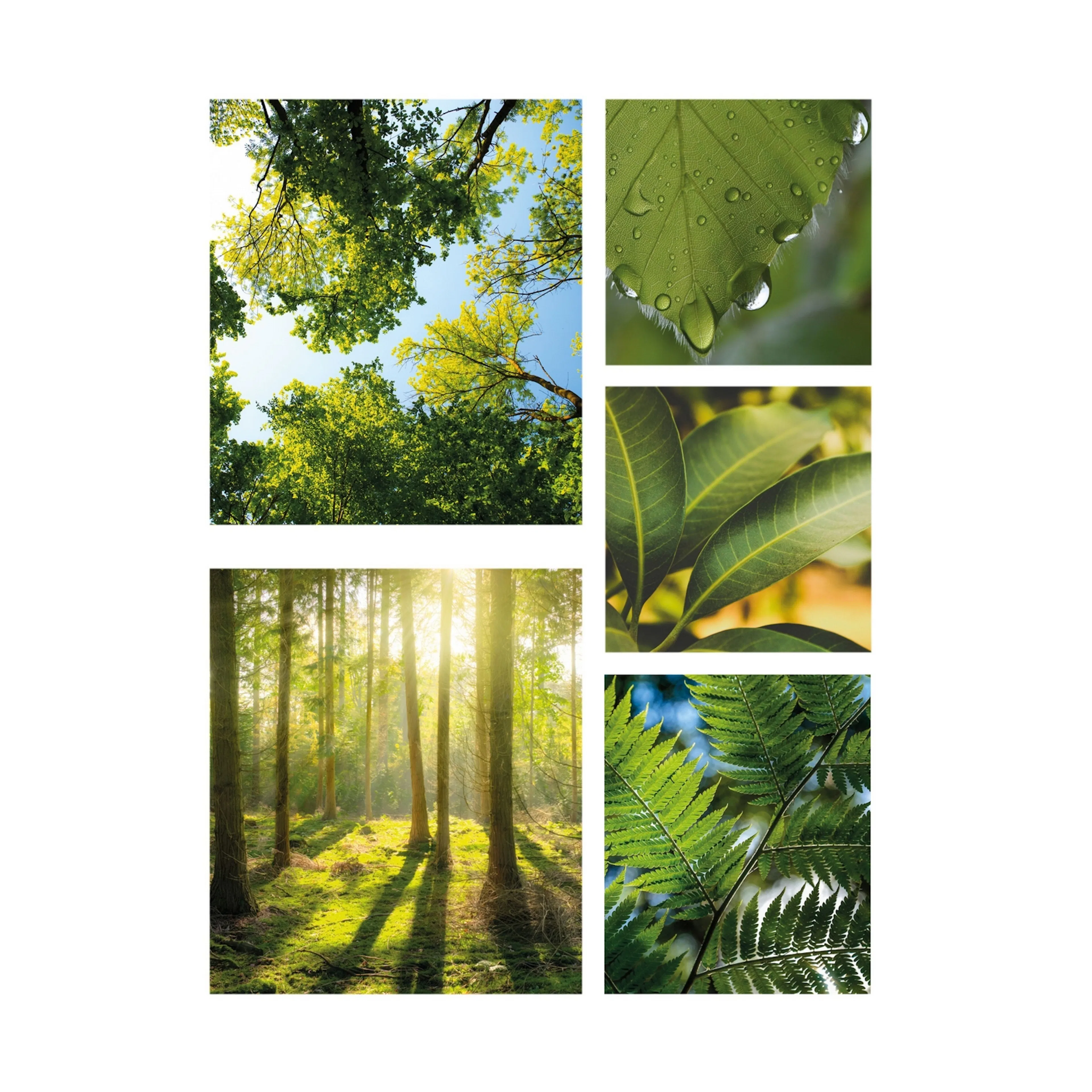 Tavla Art For The Home 5 Delar Tystnad Grön