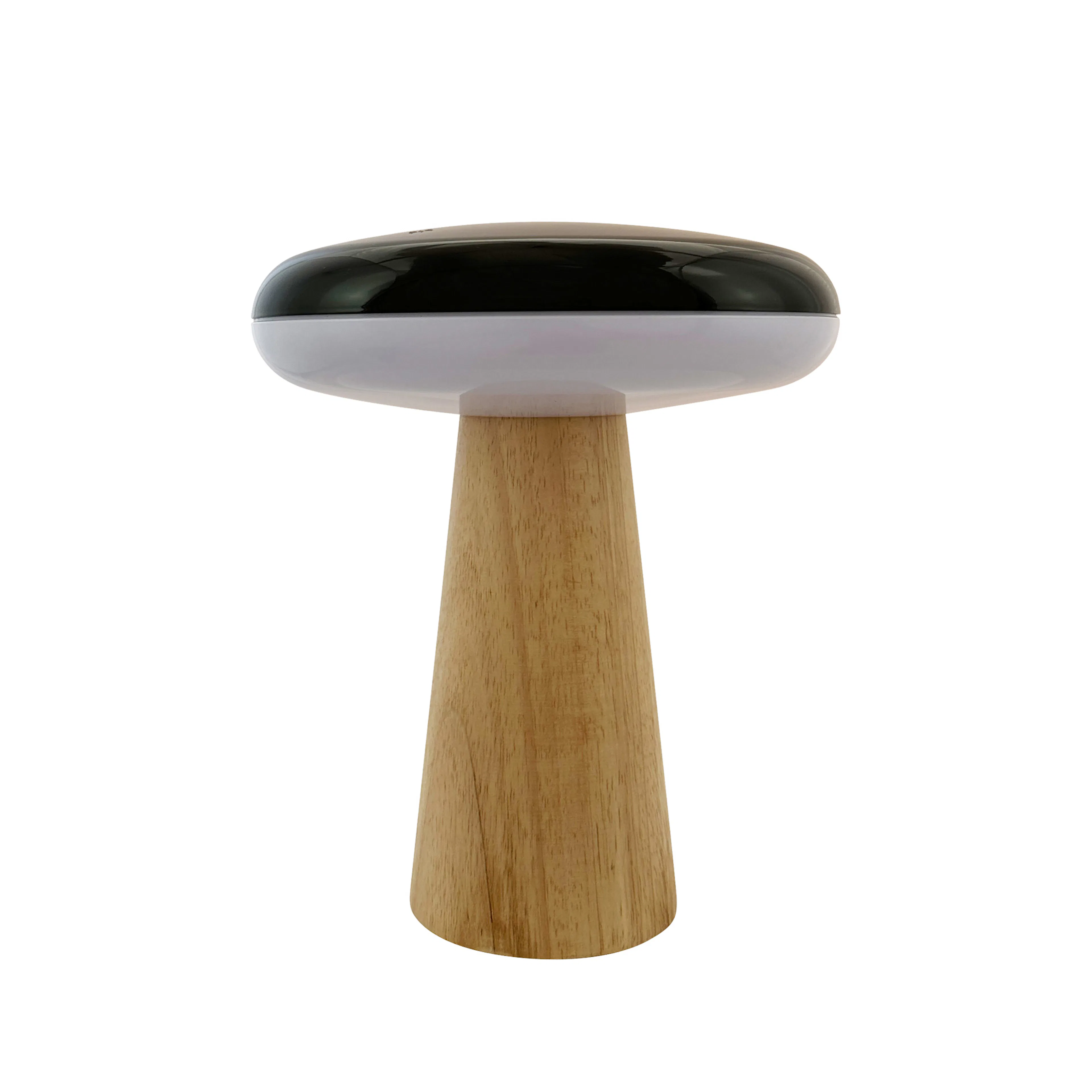 Bordslampa Dyberg Larsen 2 Ways