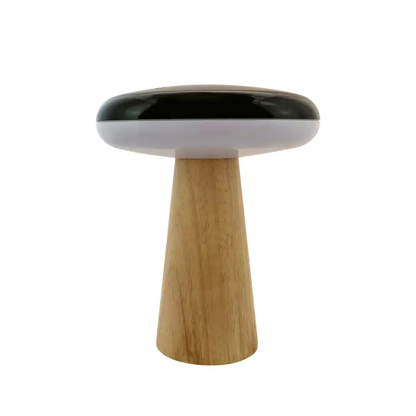 Bordslampa Dyberg Larsen 2 Ways