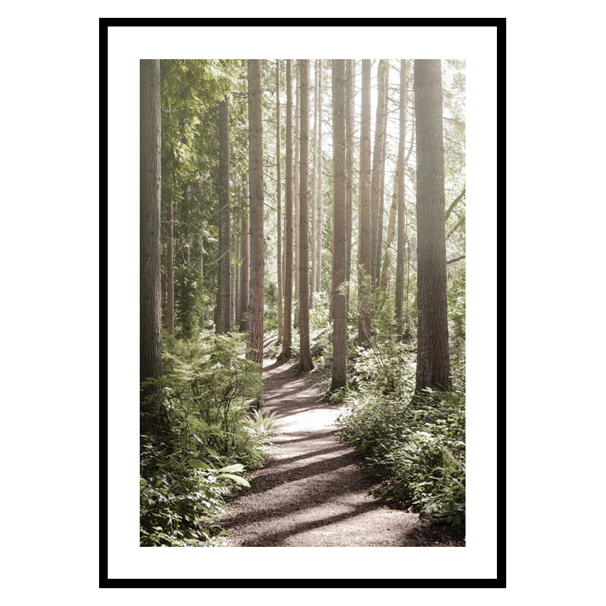 Poster Gallerix Green Forest