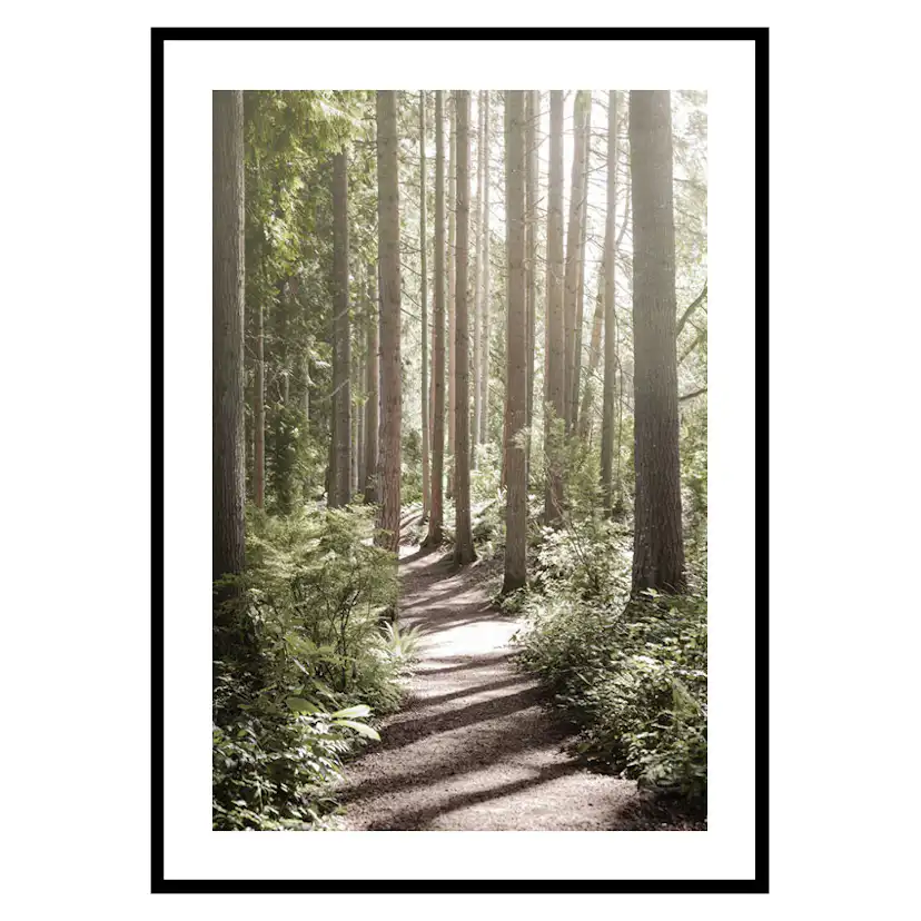 Poster Gallerix Green Forest