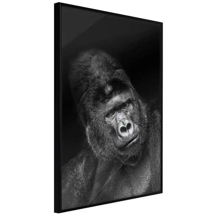 Poster Artgeist Affisch Gorilla