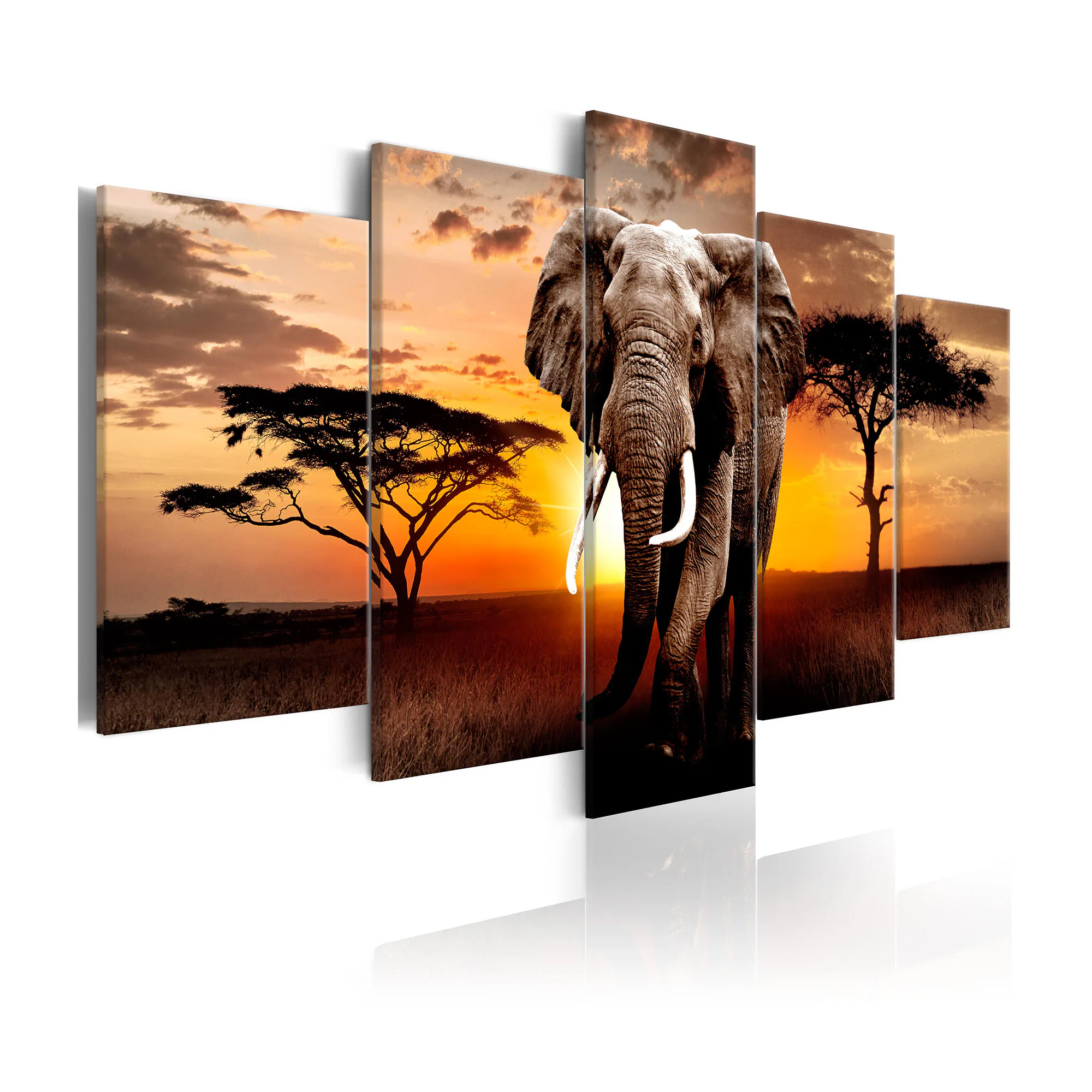 Tavla Arkiio Elephant Migration