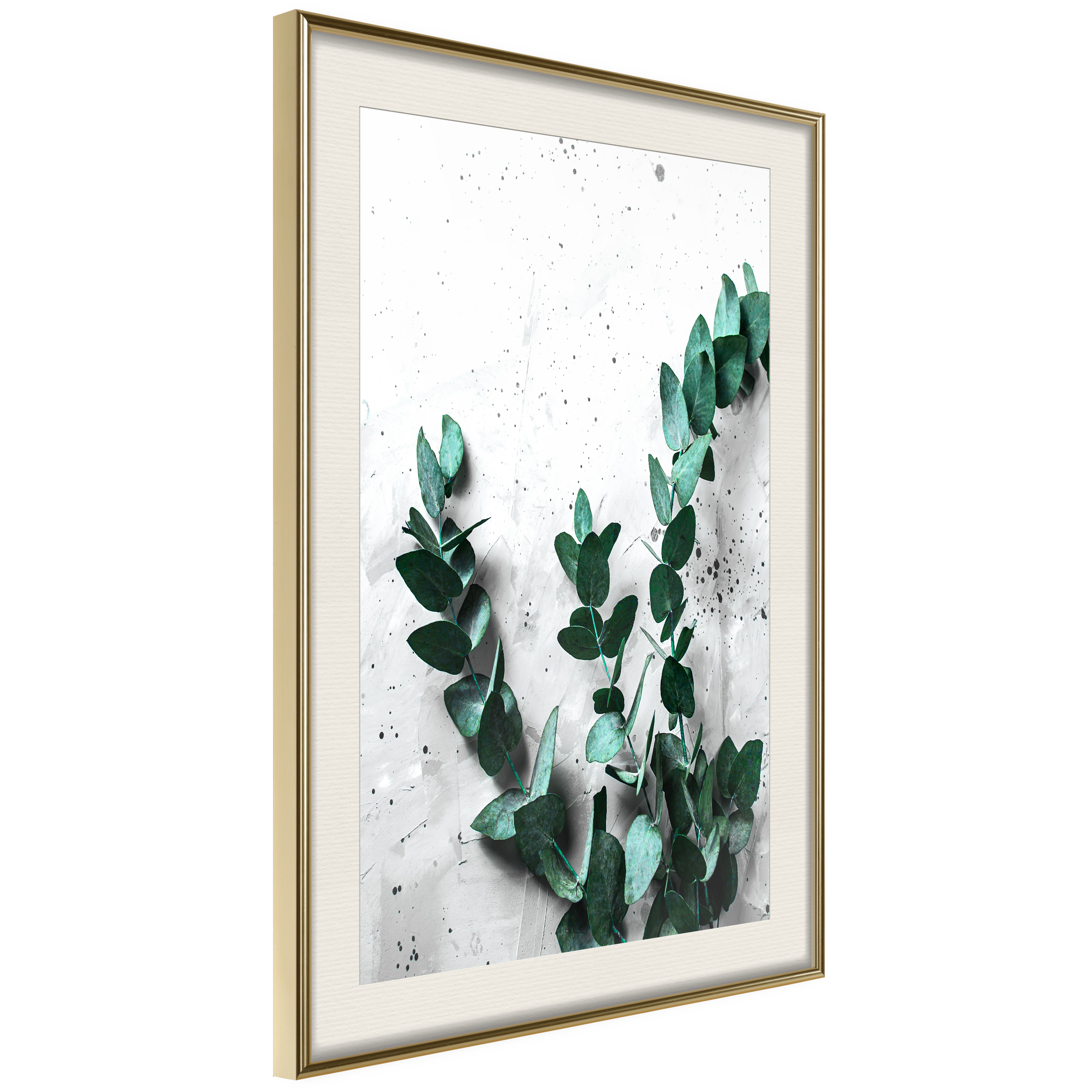 Affisch - Eucalyptus Scent [Poster] 40x60 Guld ram med passepartout, 40x60 cm