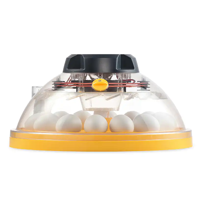 Äggkläckare Brinsea Maxi II EX