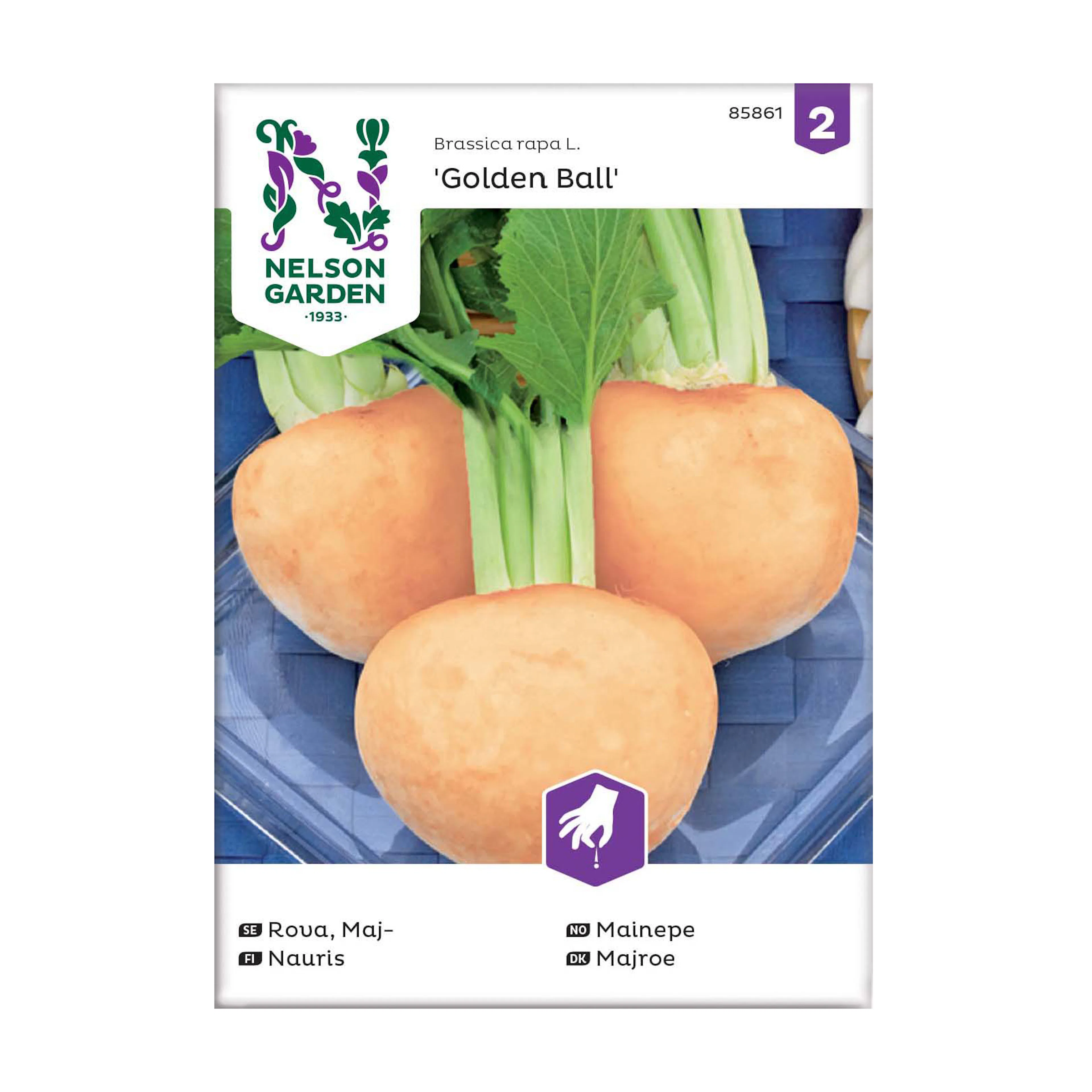 Frö Majrova Nelson Garden Golden Ball