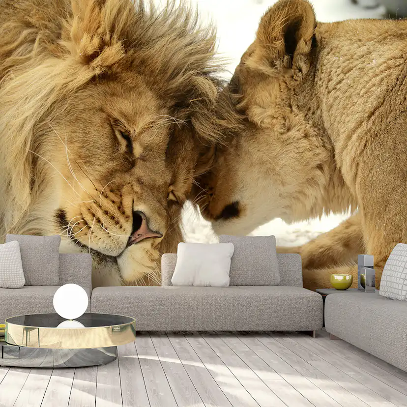 Fototapet Arkiio Lion Tenderness Självhäftande