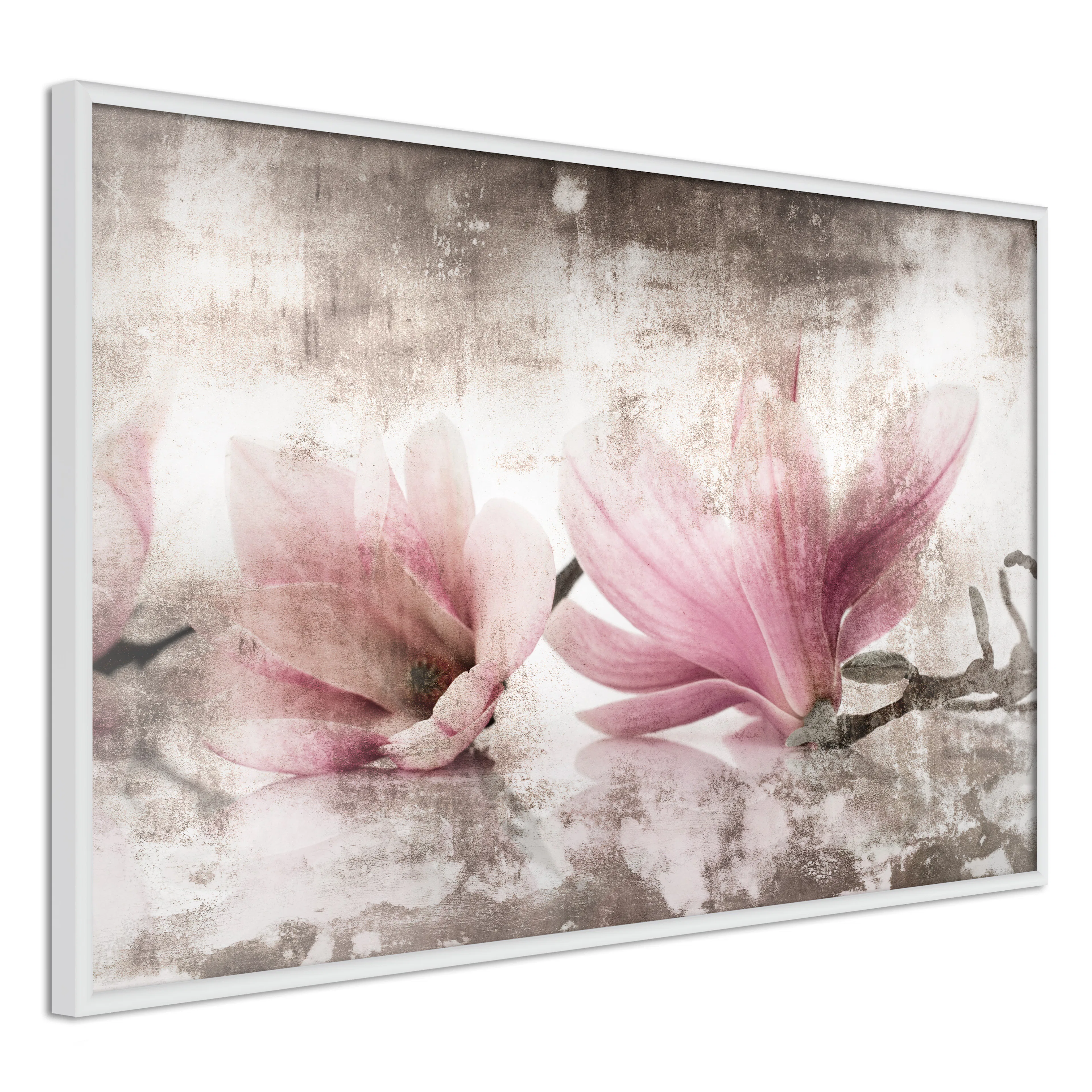 Poster Artgeist Affisch Magnolia Memory